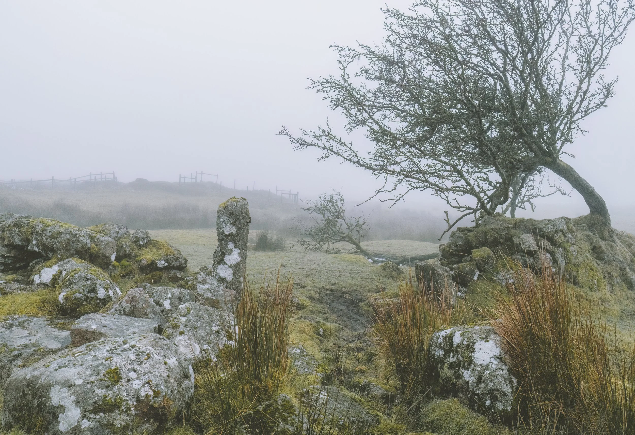 A foggy landscape with a twisted leafless tree, rocks covered in moss, and a stone pillar surrounded by grass.
