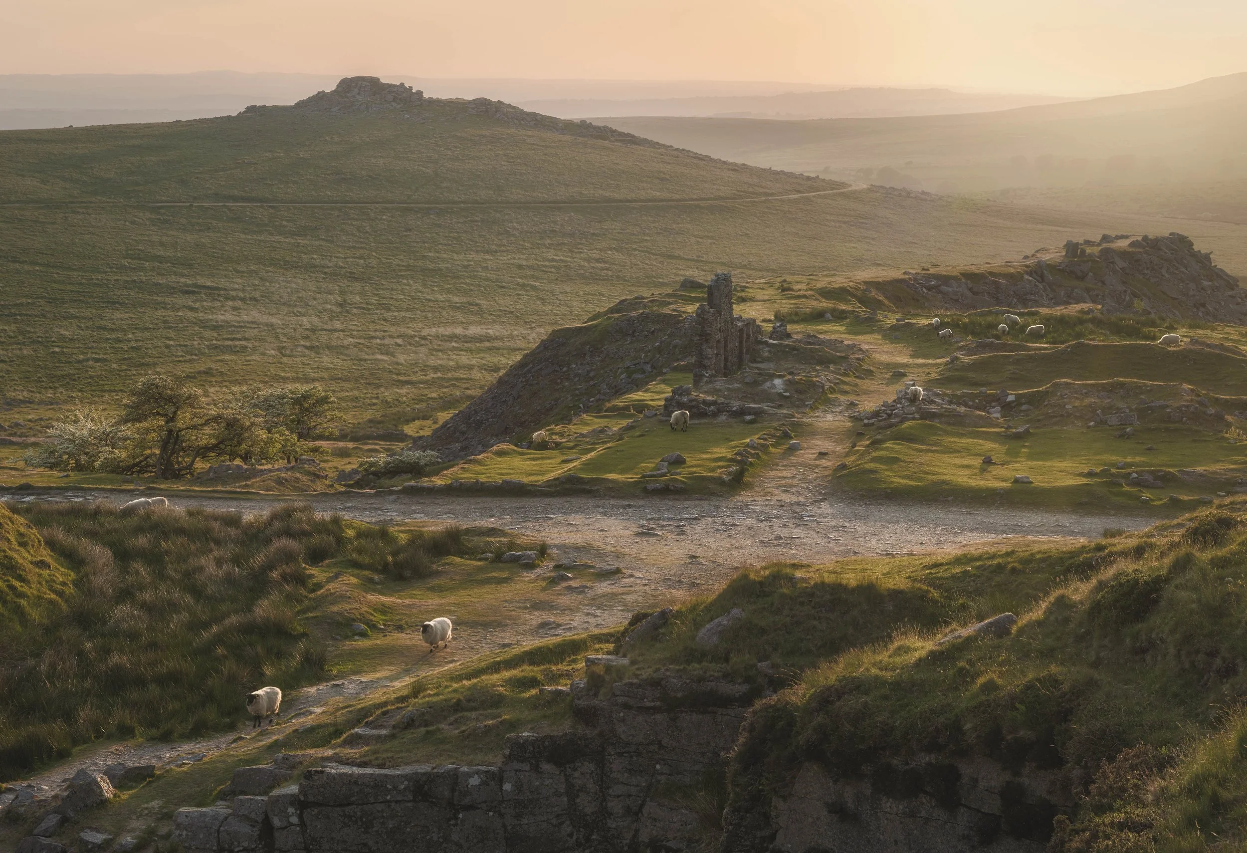 Evening Light over Kings Tor