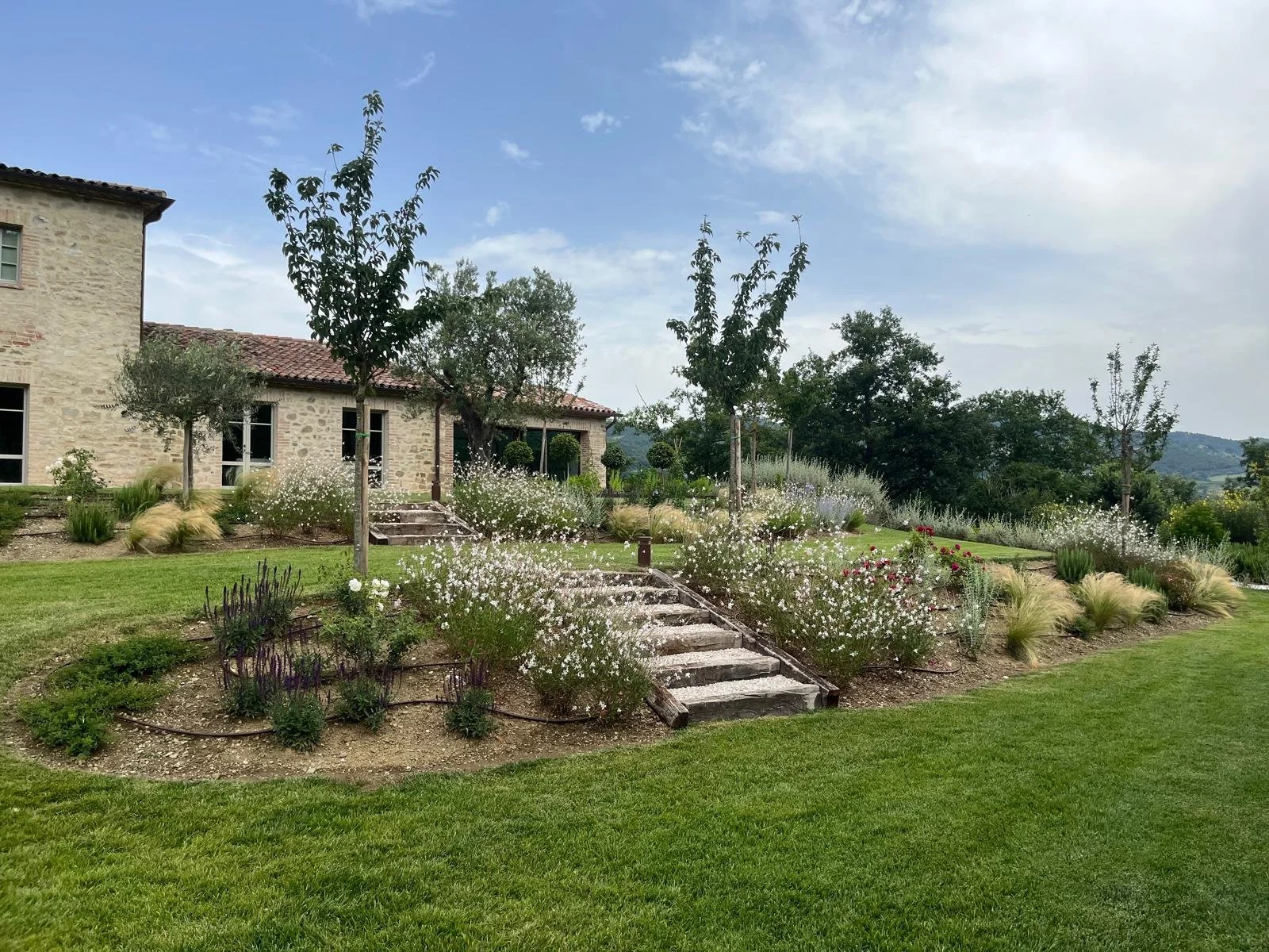 WhatsApp Image 2025-01-12 at 10.34.32 (1).jpeg