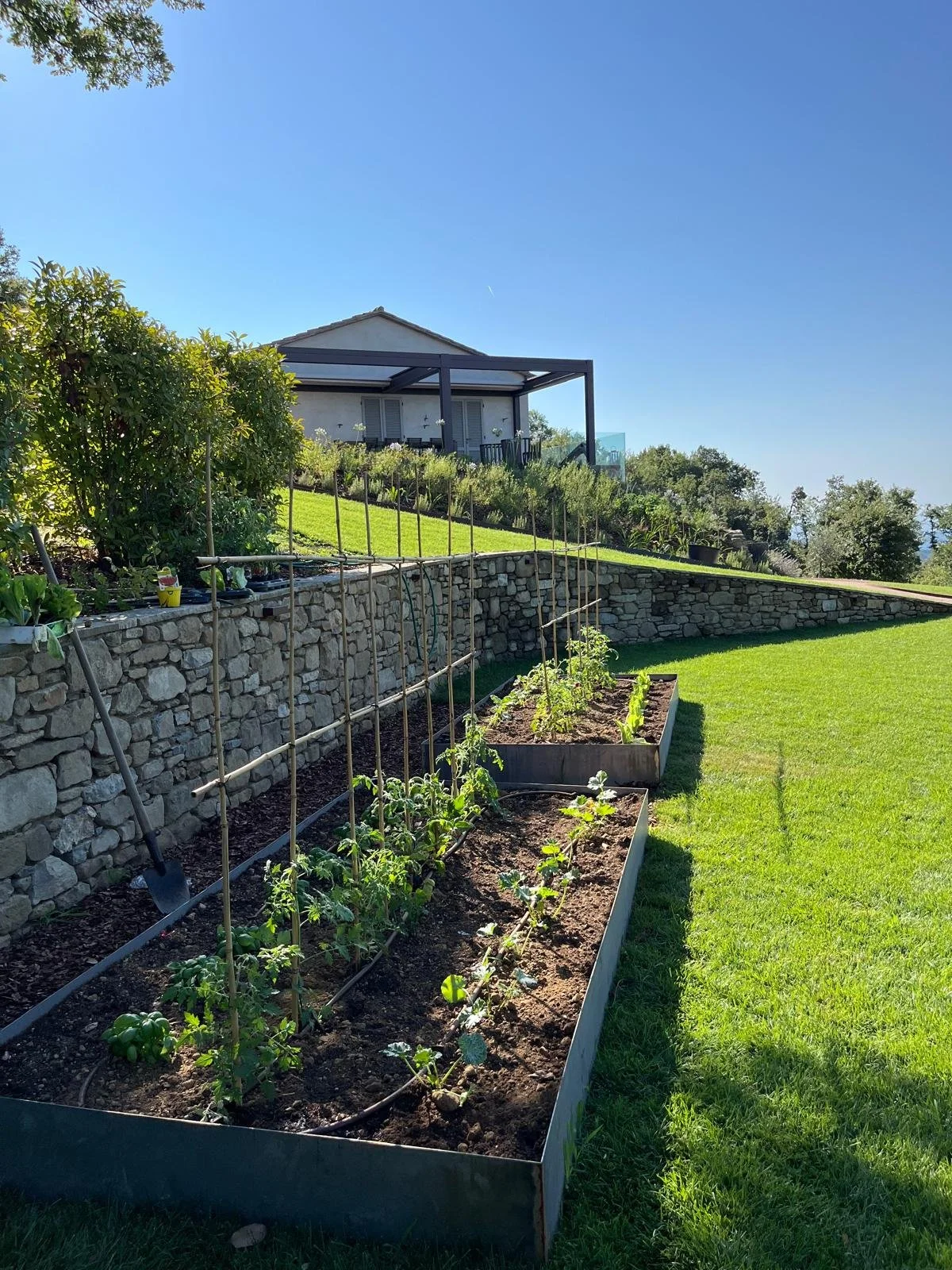 WhatsApp Image 2025-01-11 at 11.35.42 (10).jpeg