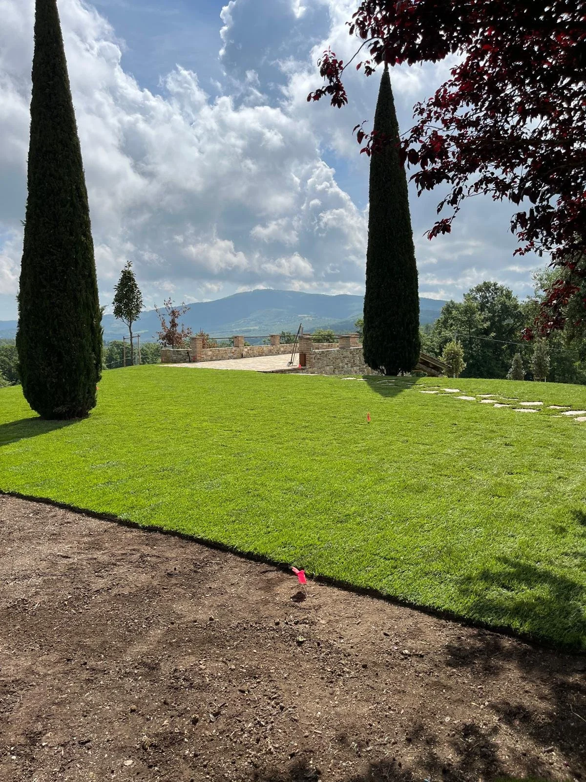 WhatsApp Image 2025-01-11 at 11.35.42 (5).jpeg