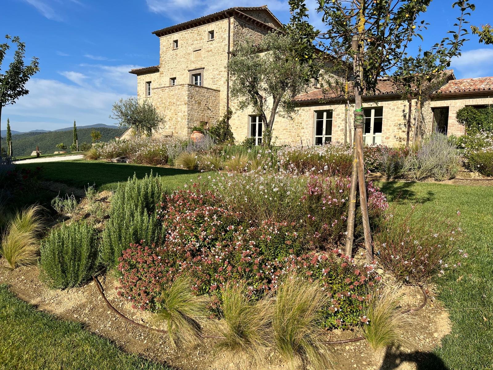 WhatsApp Image 2025-01-12 at 10.34.33 (2).jpeg