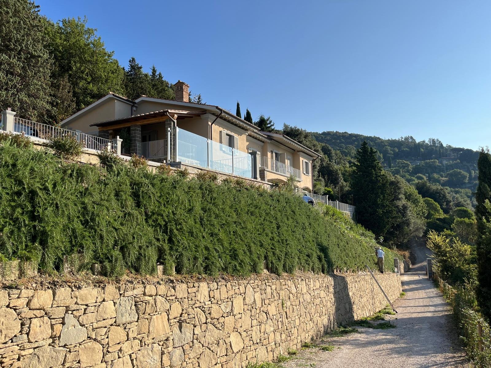 WhatsApp Image 2025-01-11 at 11.35.43 (1).jpeg