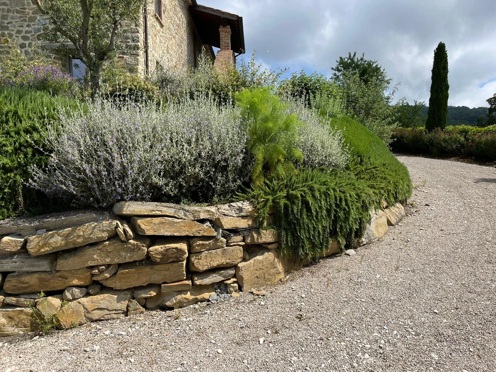 WhatsApp Image 2025-01-12 at 10.34.32 (3).jpeg