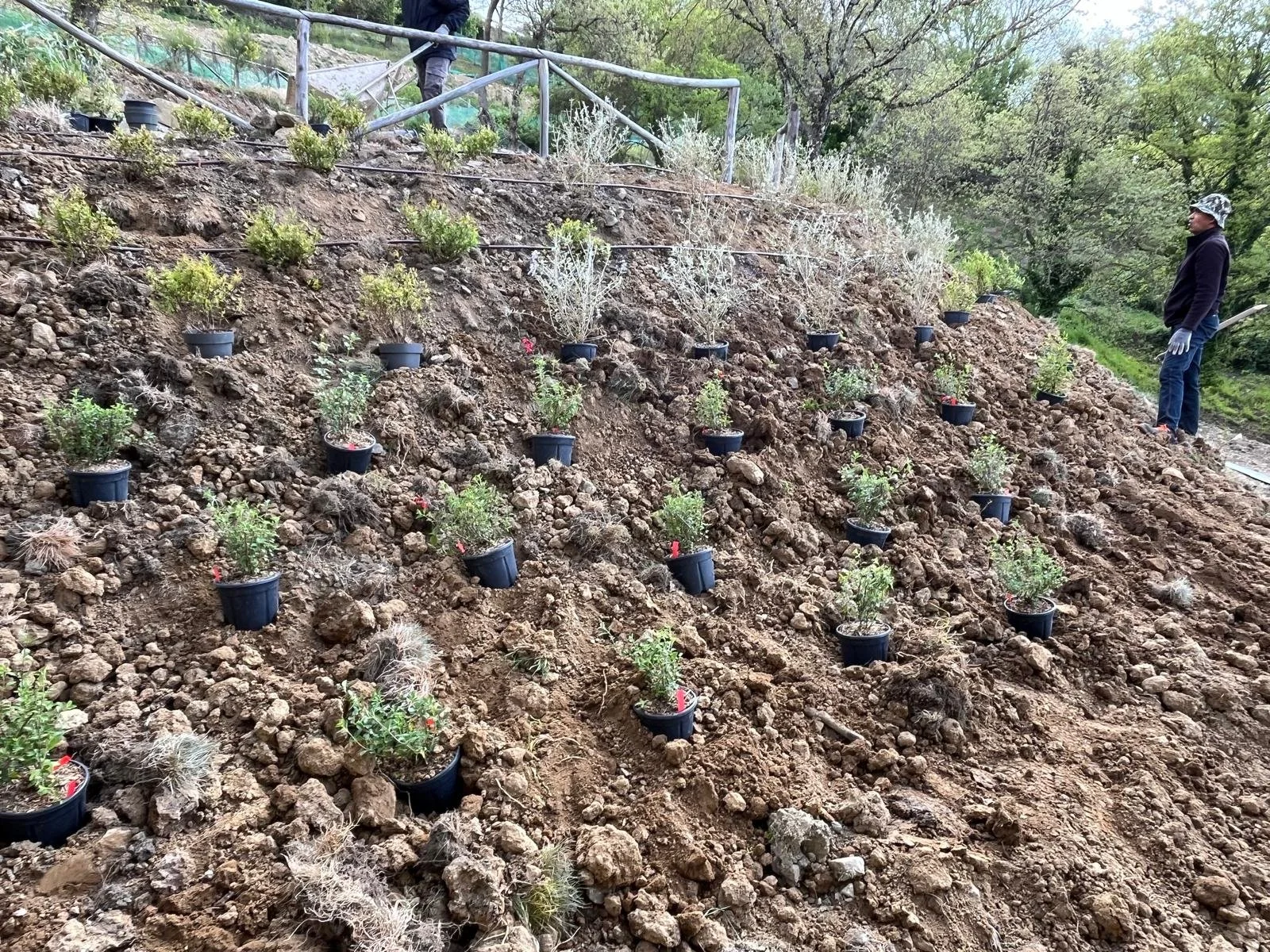 WhatsApp Image 2025-01-11 at 11.35.42 (1).jpeg