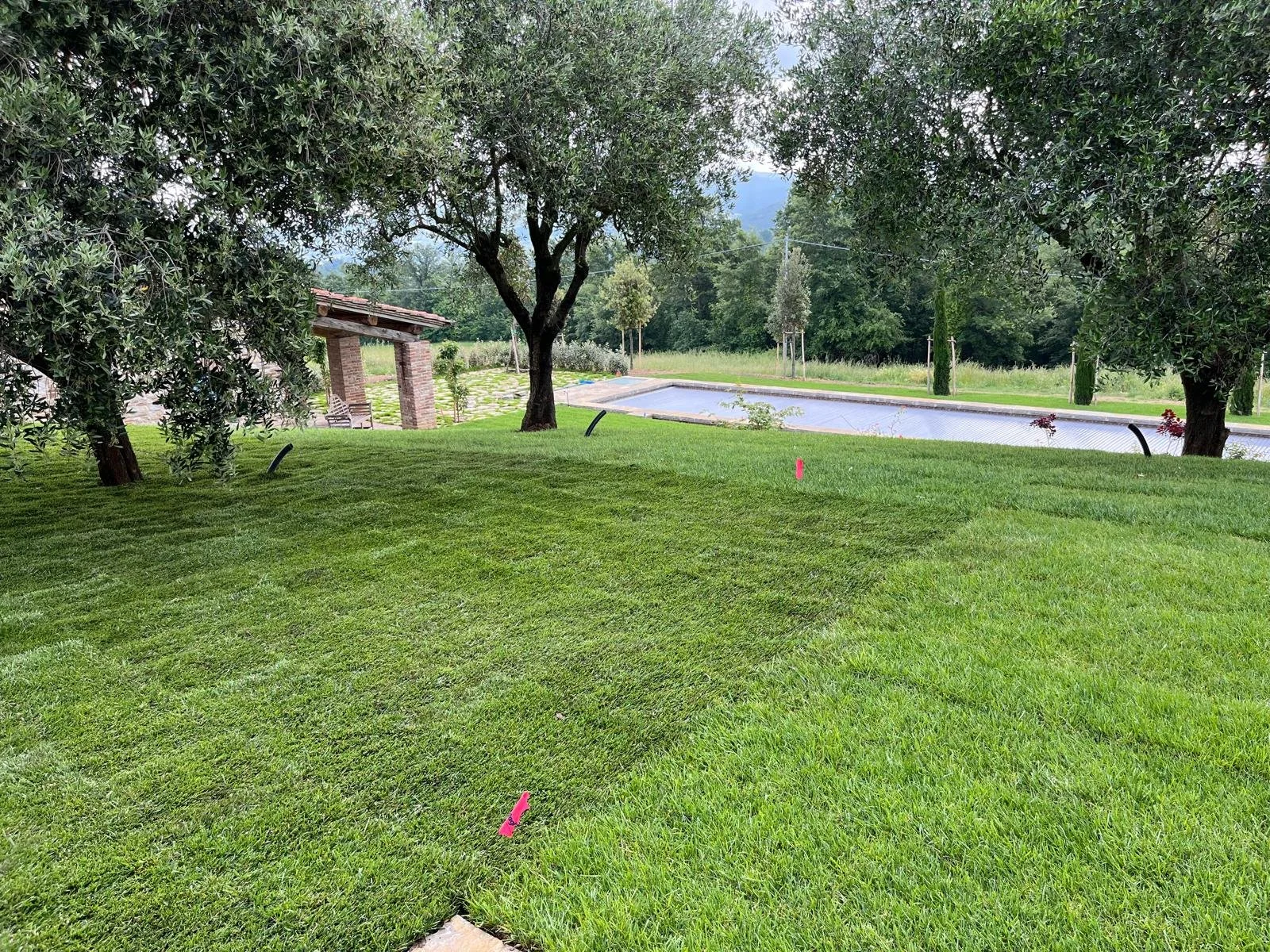 WhatsApp Image 2025-01-11 at 11.35.42 (4).jpeg