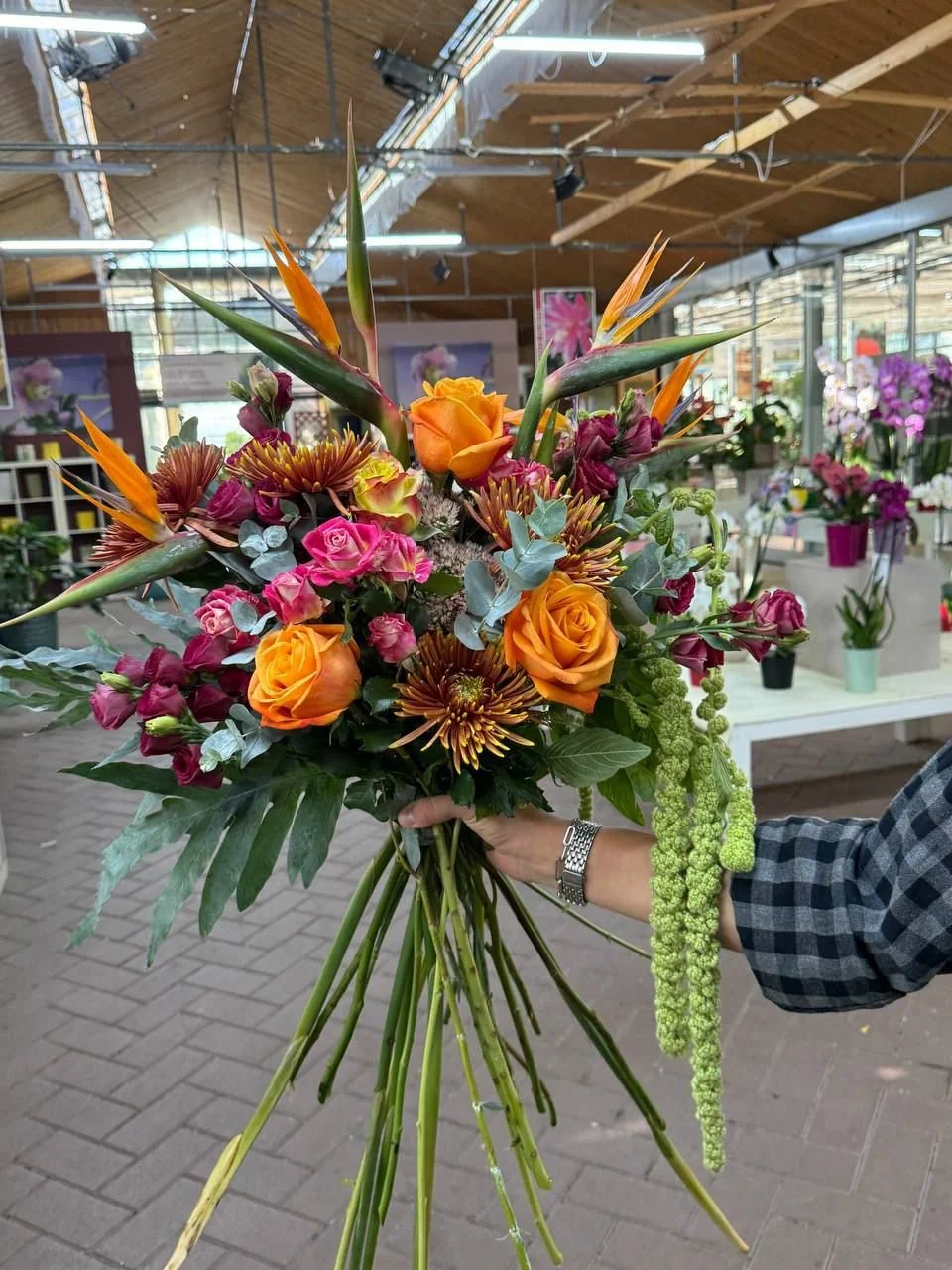 WhatsApp Image 2025-01-10 at 16.03.32.jpeg