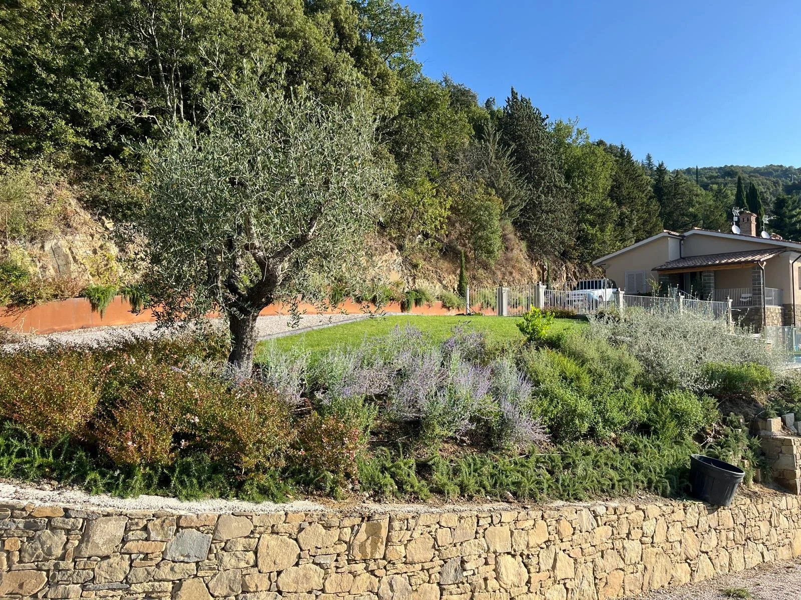 WhatsApp Image 2025-01-11 at 11.35.43 (2).jpeg