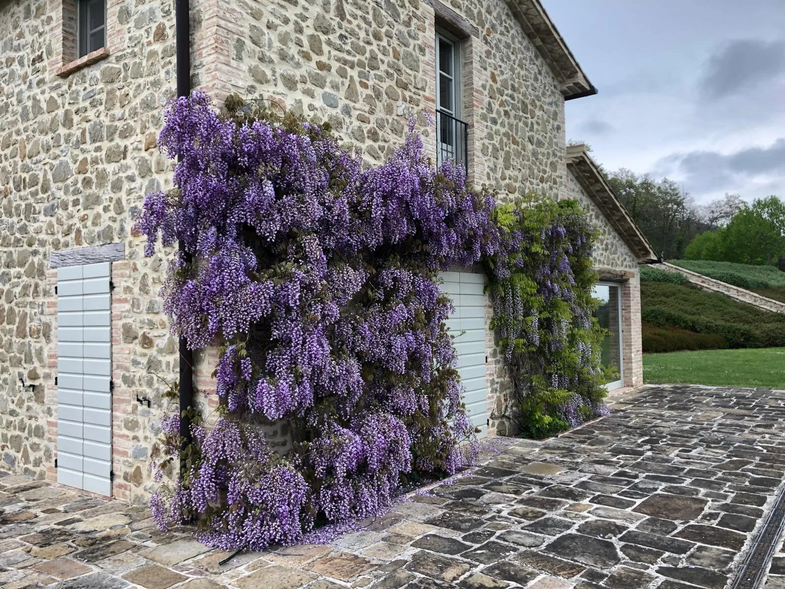 WhatsApp Image 2025-01-12 at 10.34.31 (1).jpeg