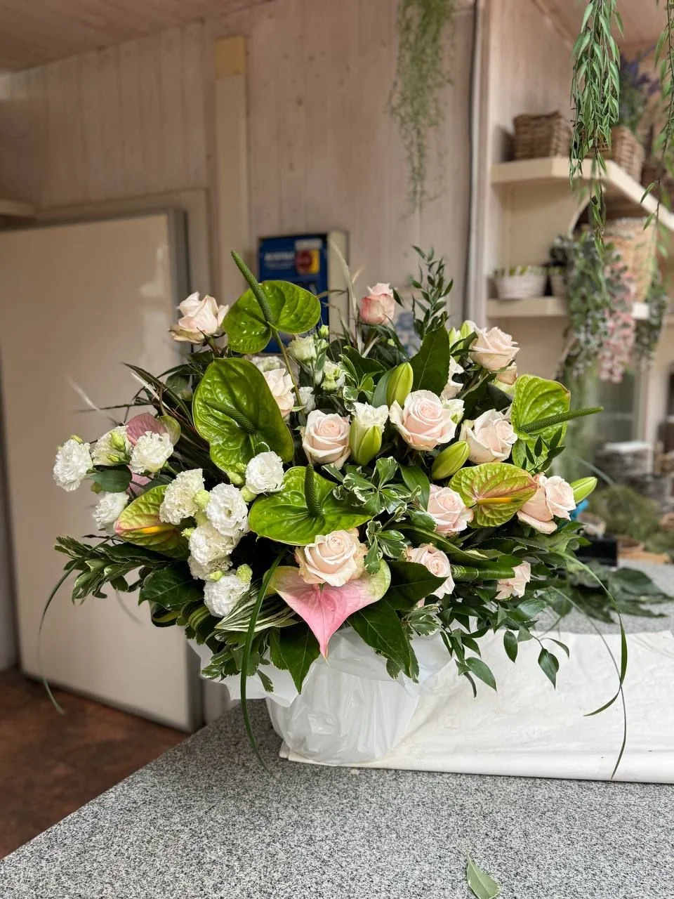 WhatsApp Image 2025-01-10 at 16.02.57.jpeg