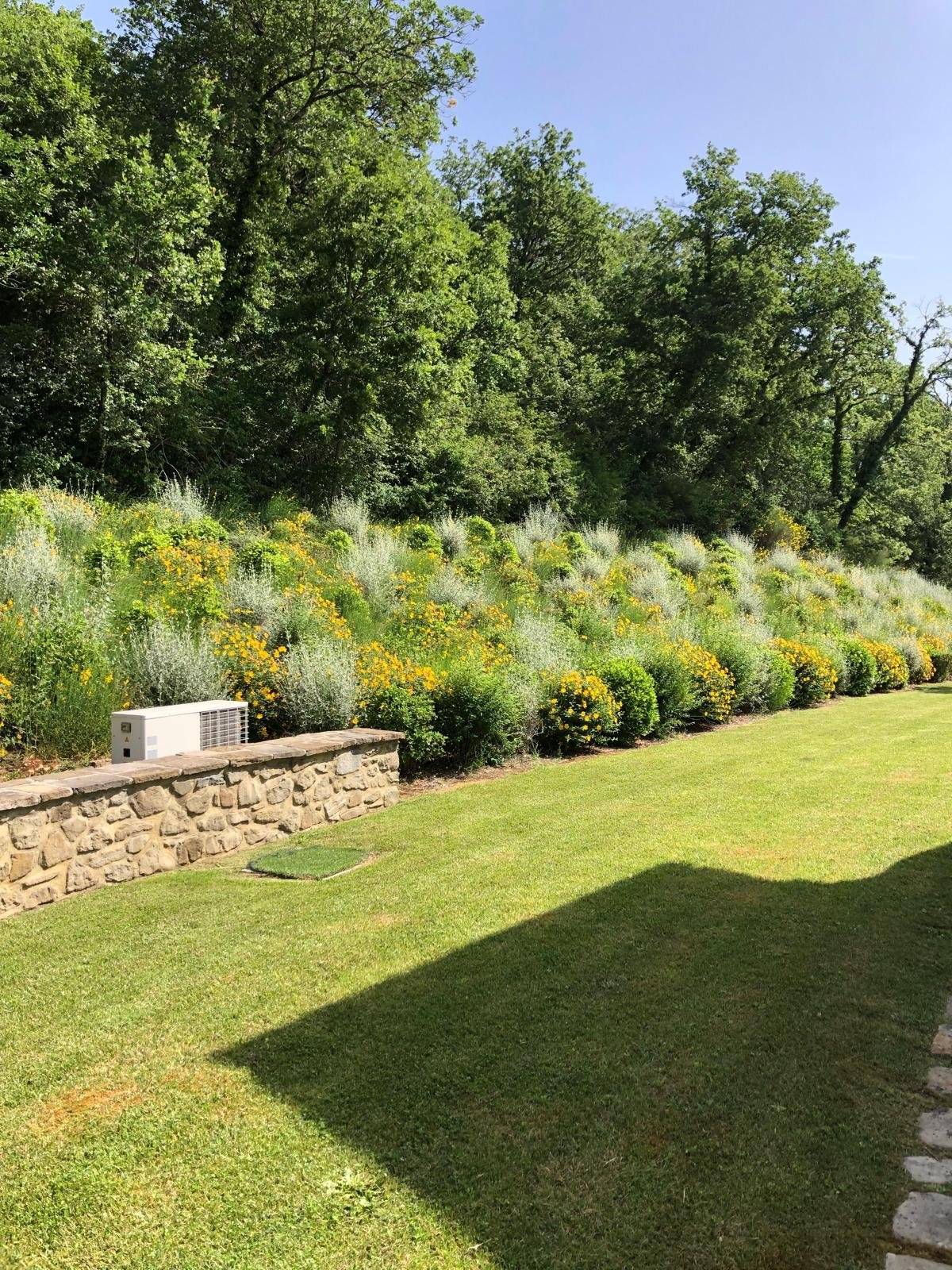 WhatsApp Image 2025-01-12 at 10.34.12.jpeg