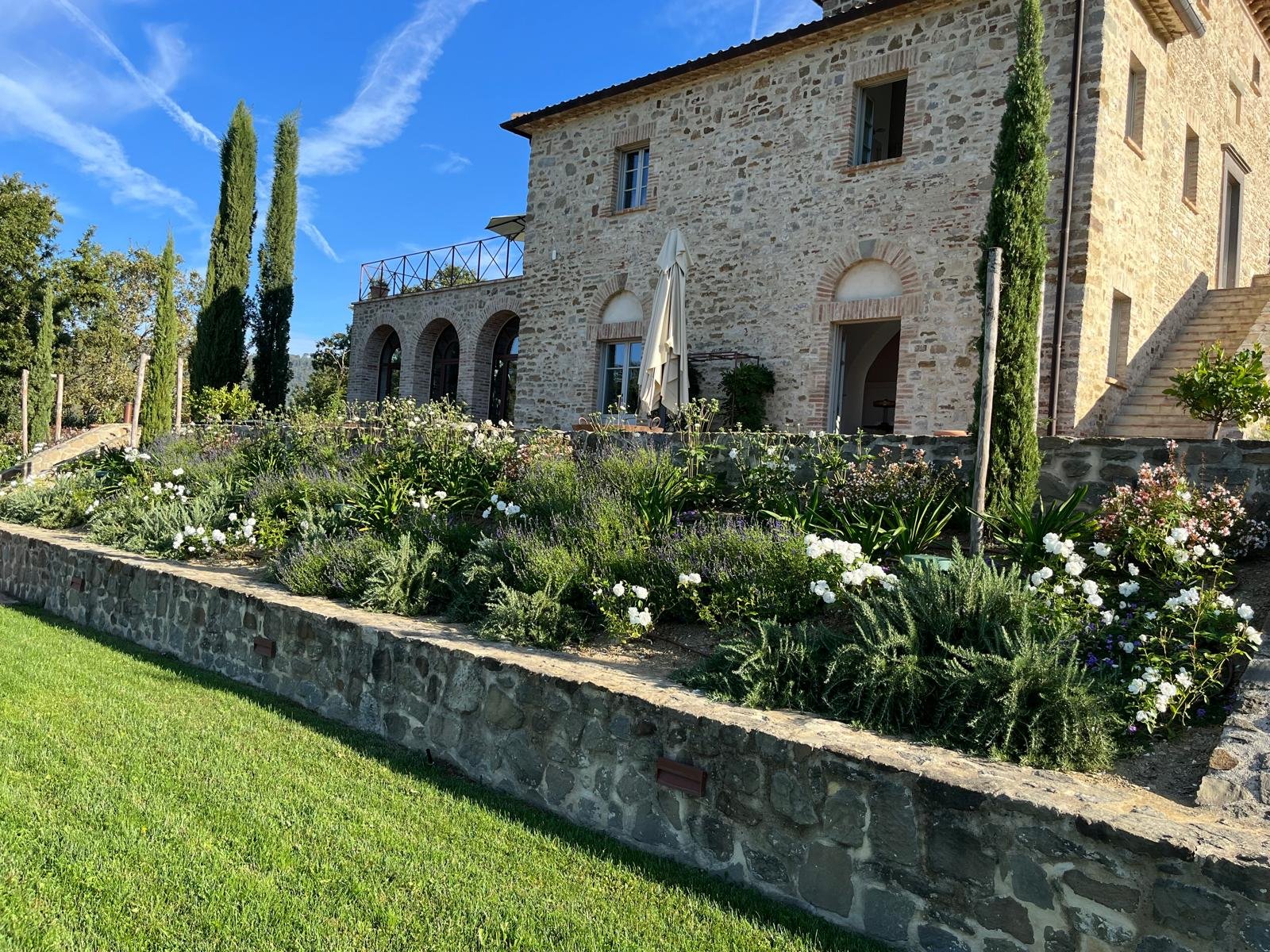 WhatsApp Image 2025-01-12 at 10.34.33.jpeg