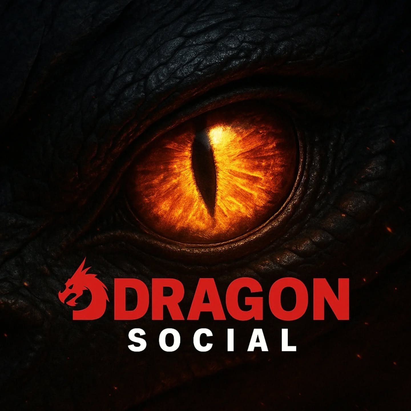 The Dragon has Awakened.
Your Brand&rsquo;s about to Breathe Fire.

We&rsquo;re Dragon Social&mdash;and we don&rsquo;t just &ldquo;do content.&rdquo;
We build bold brands, ignite feeds, and torch mediocrity.

Follow us if you&rsquo;re ready to go fro