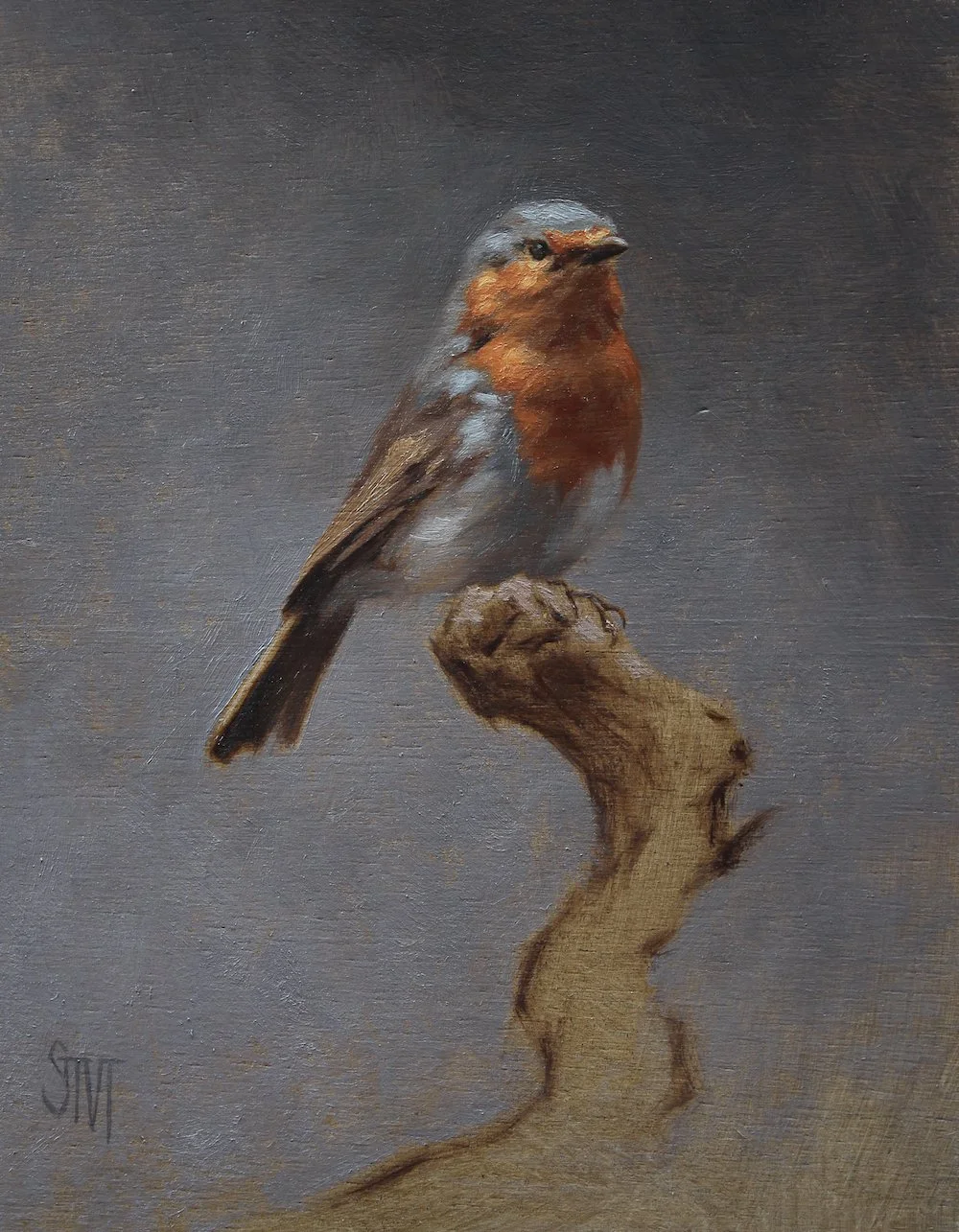 Robin_in_blue_15x20cm copy.jpg
