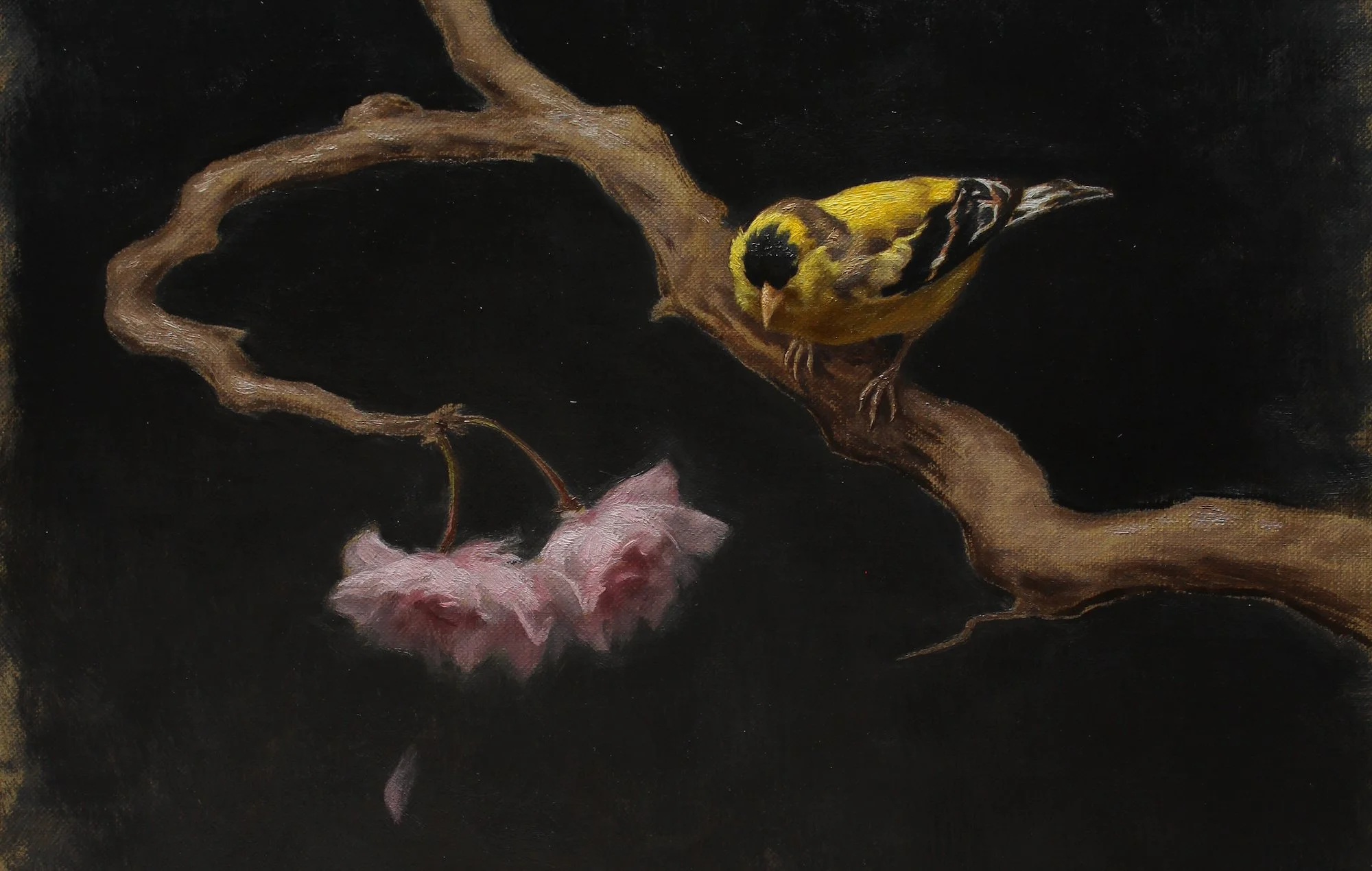  Please join us for   ‘Bird Painting in Oils’     with Sarah Margaret Gibson  