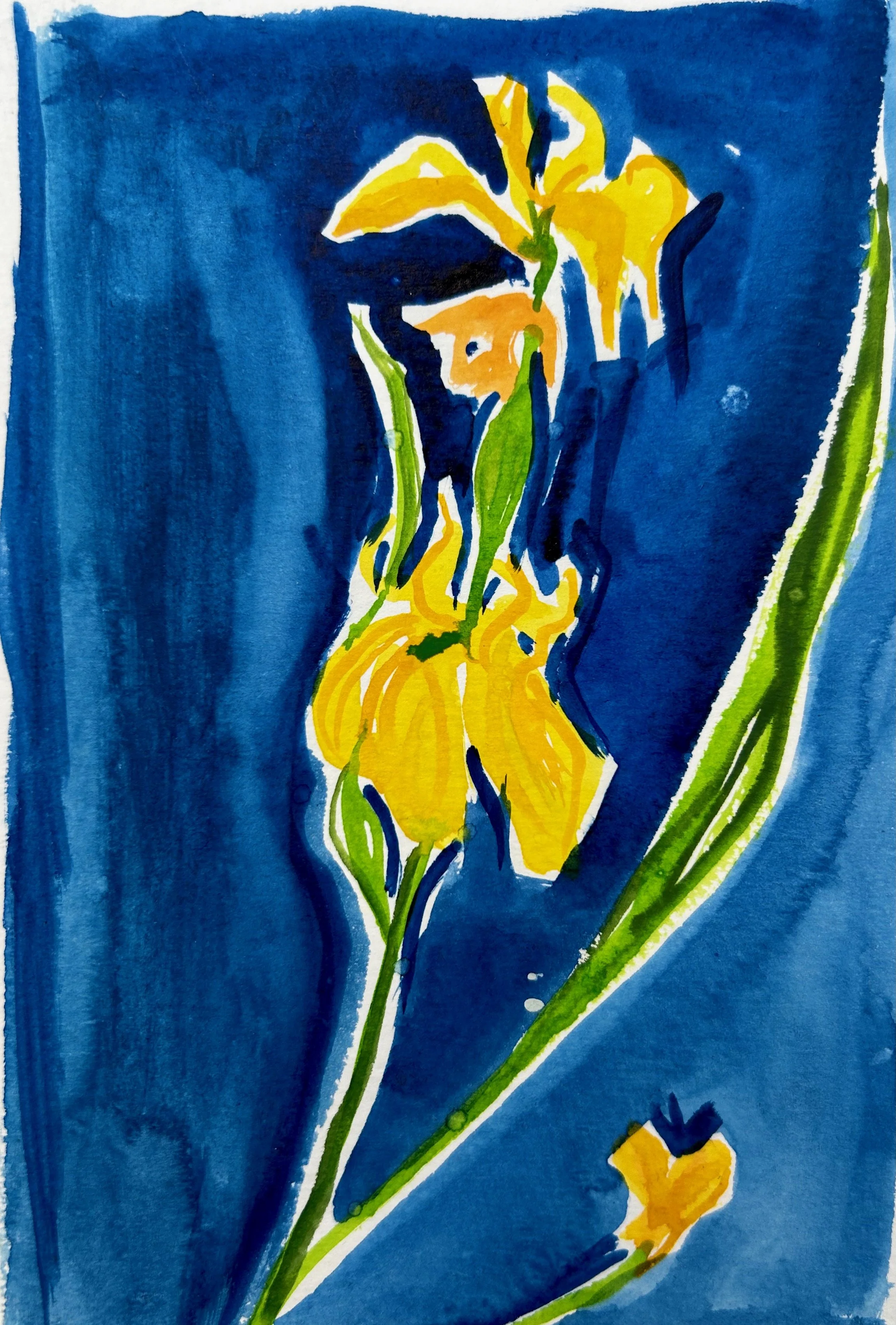 Works on Paper