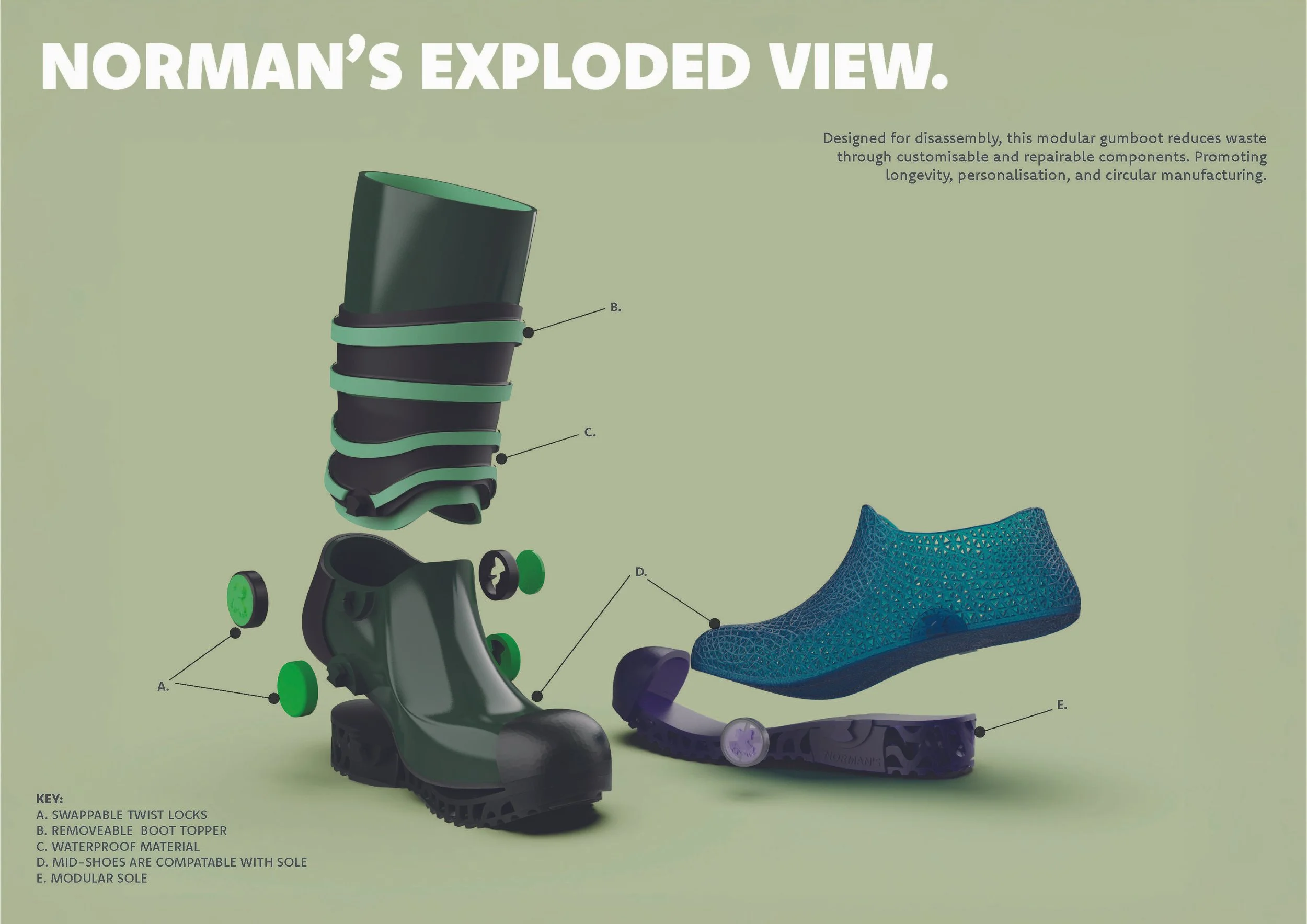 Norman's Image 2.jpg