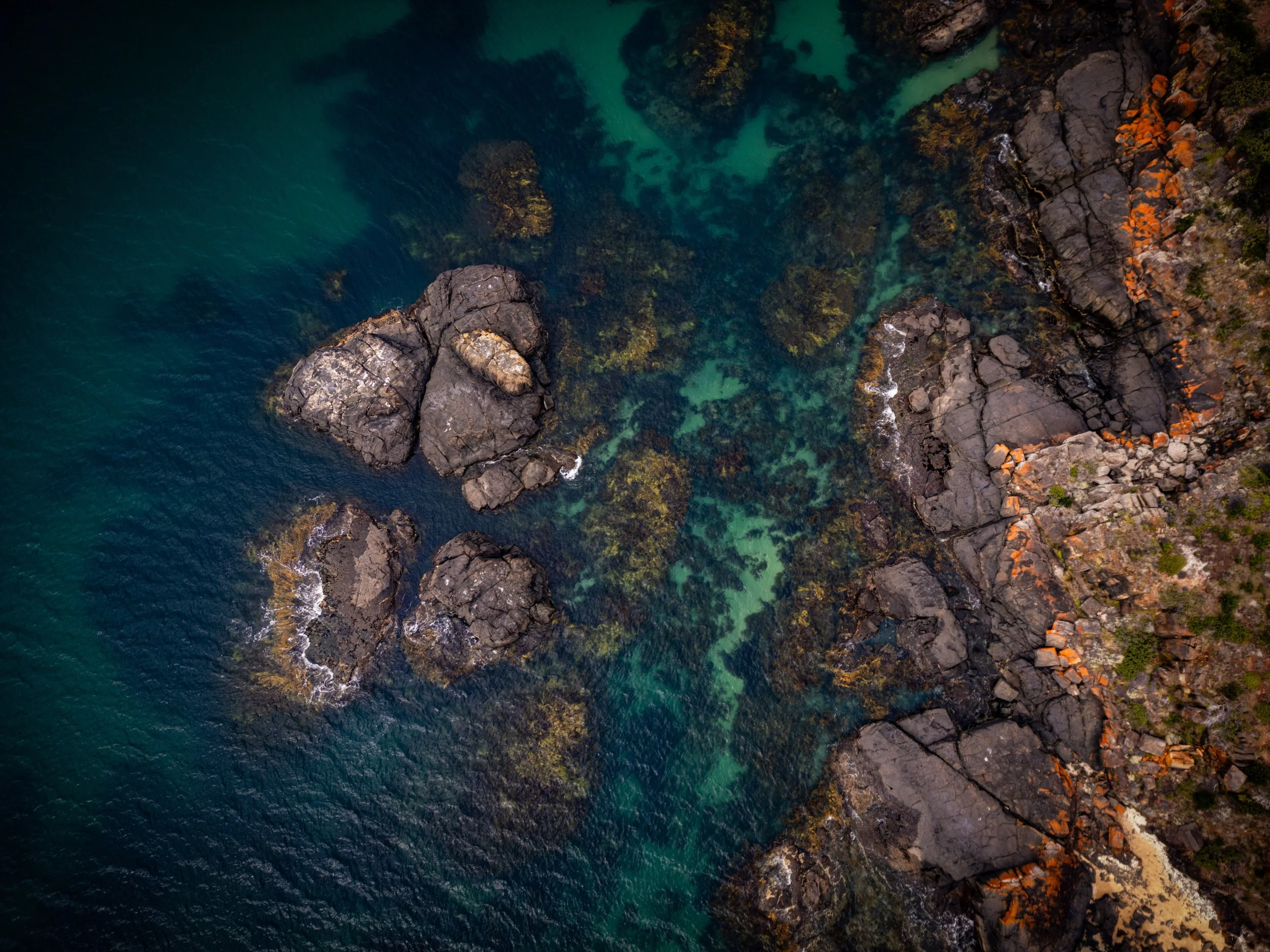 20250120-DJI_0552.jpg
