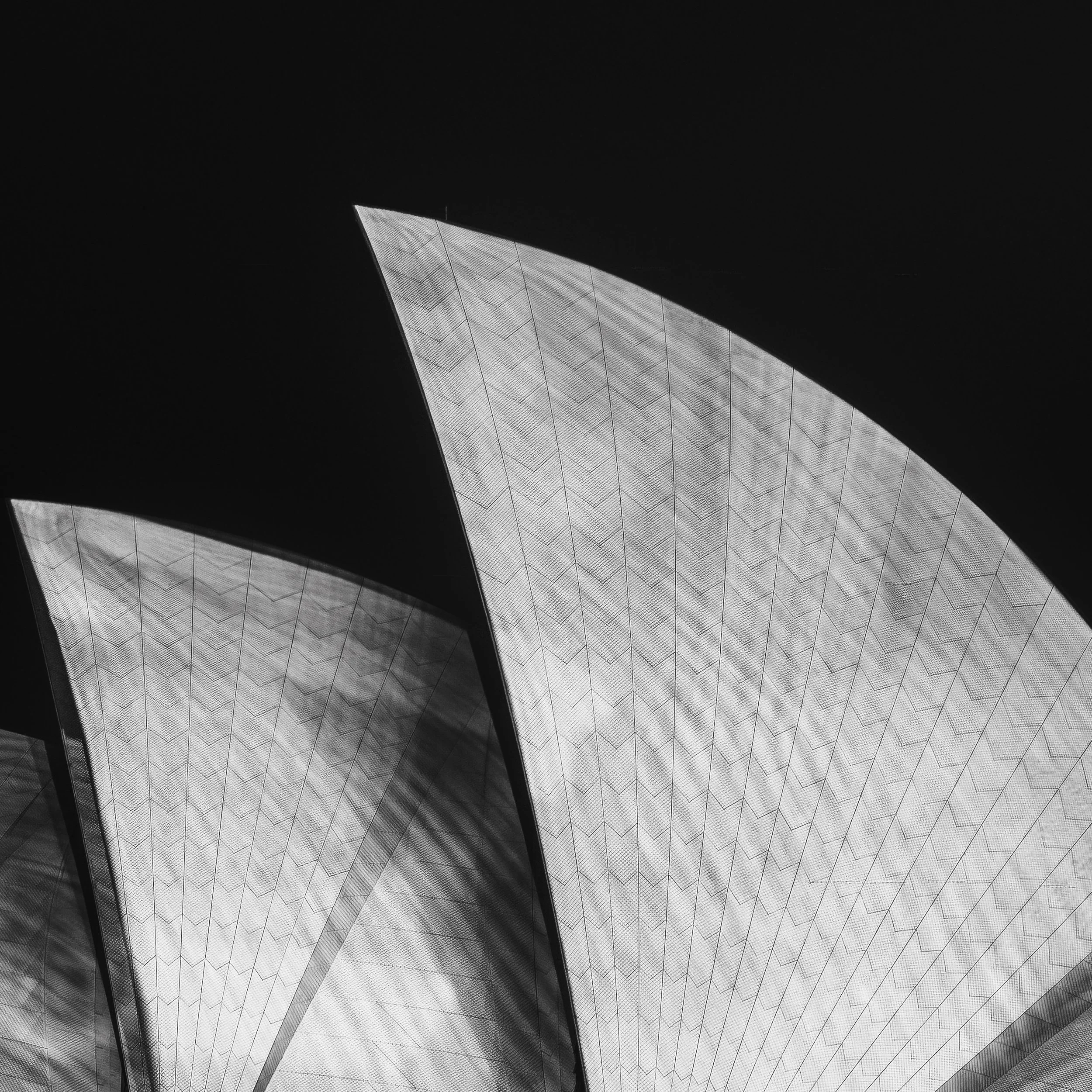 opera house crop .jpg