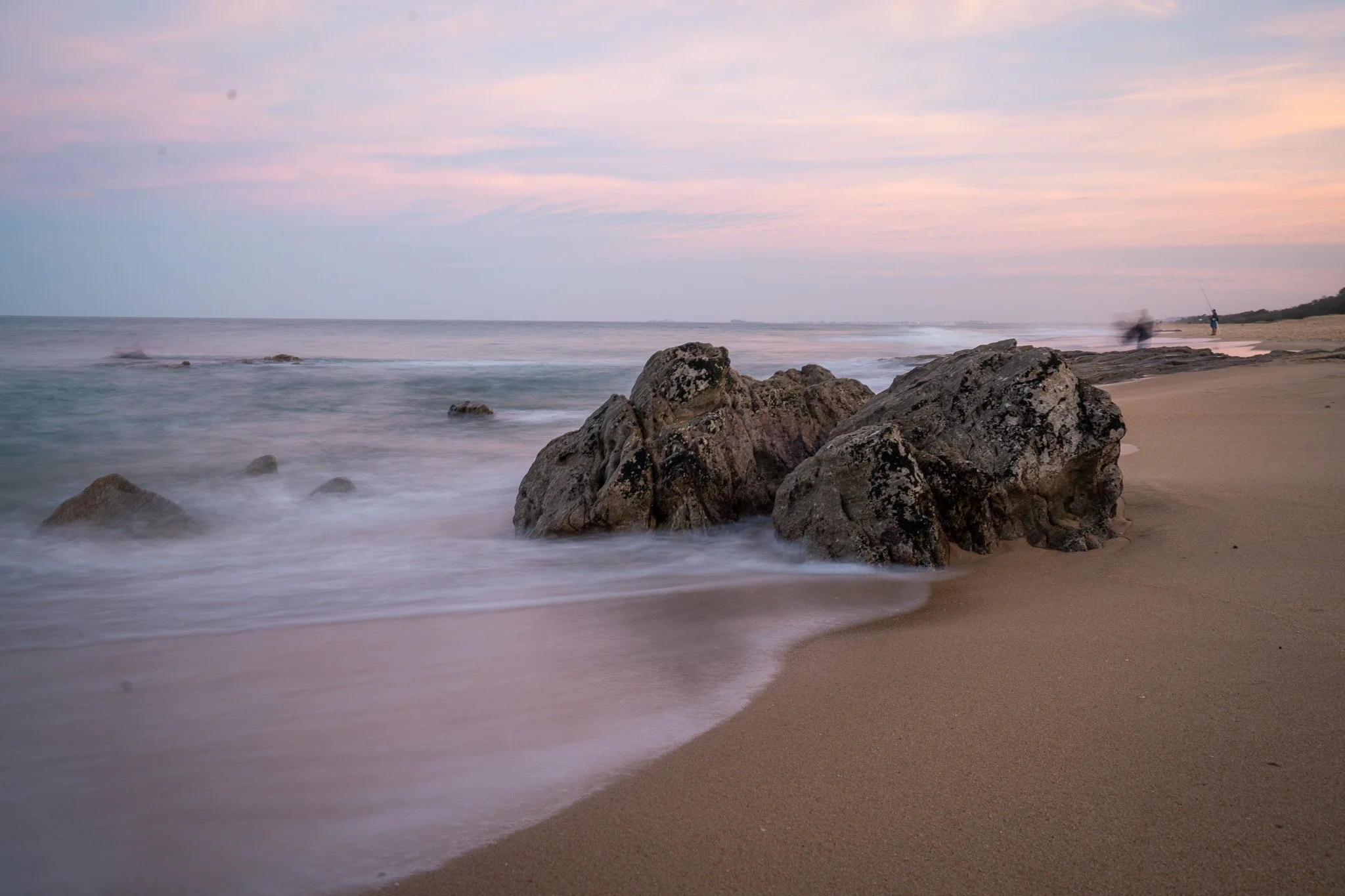 _DSC5581.jpg