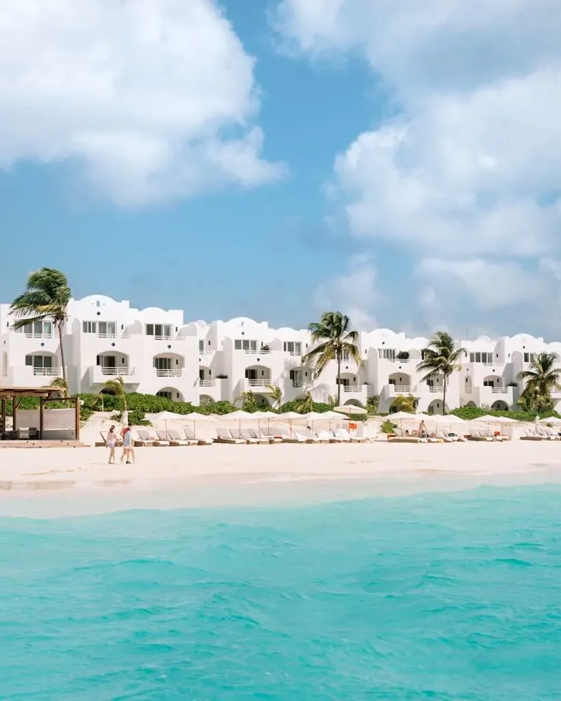Aurora anguilla 