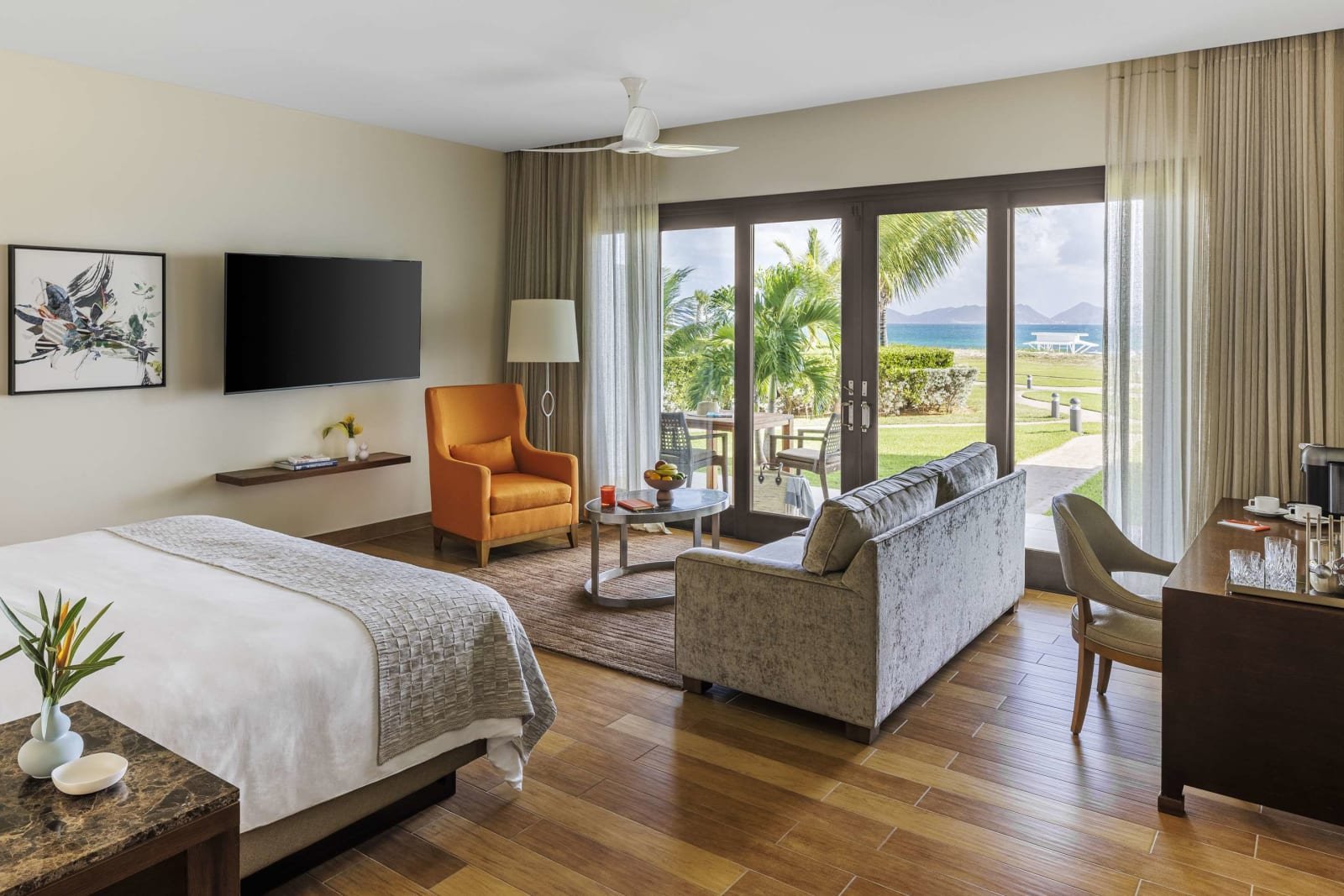 Aurora anguilla suite