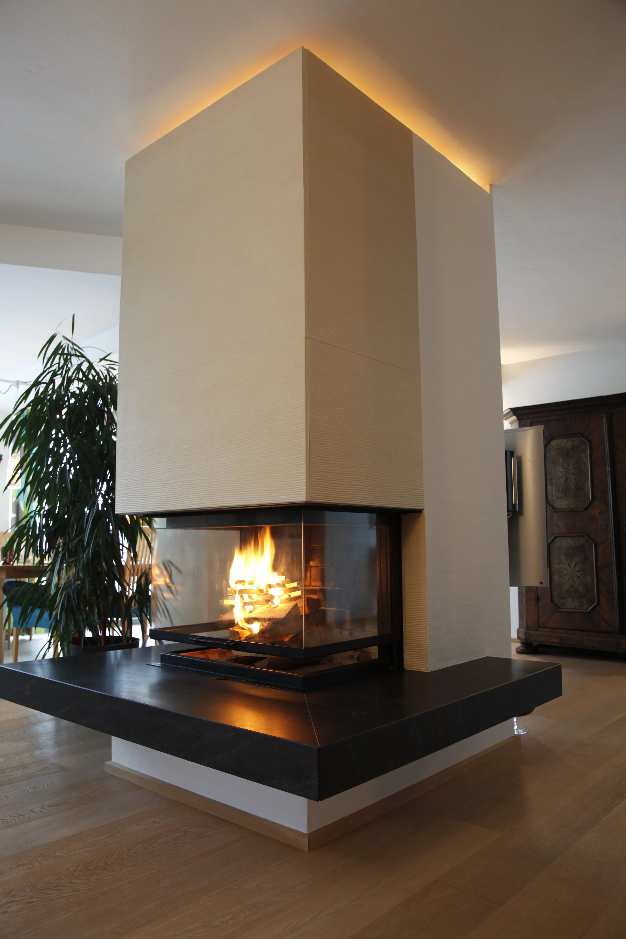 Moderne Kaminanlage in einem Wohnzimmer mit Holzfußboden und Pflanzen im Hintergrund.