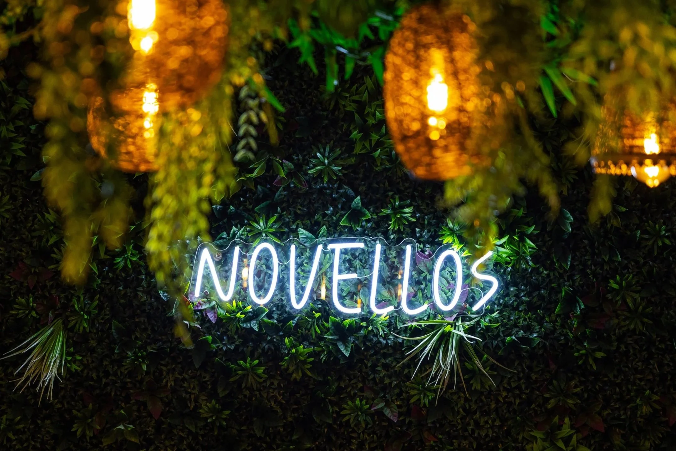 Neon sign spelling Novellos against a leafy green wall with hanging woven lights.