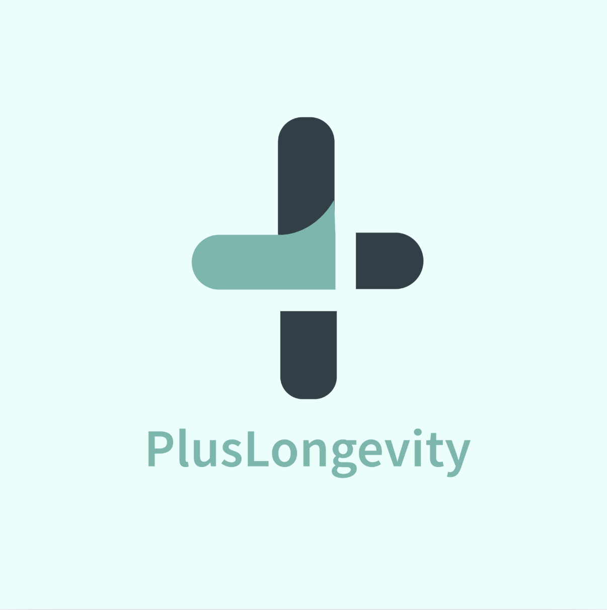 Screenshot 2025-01-04 at 8.13.18 PM.png