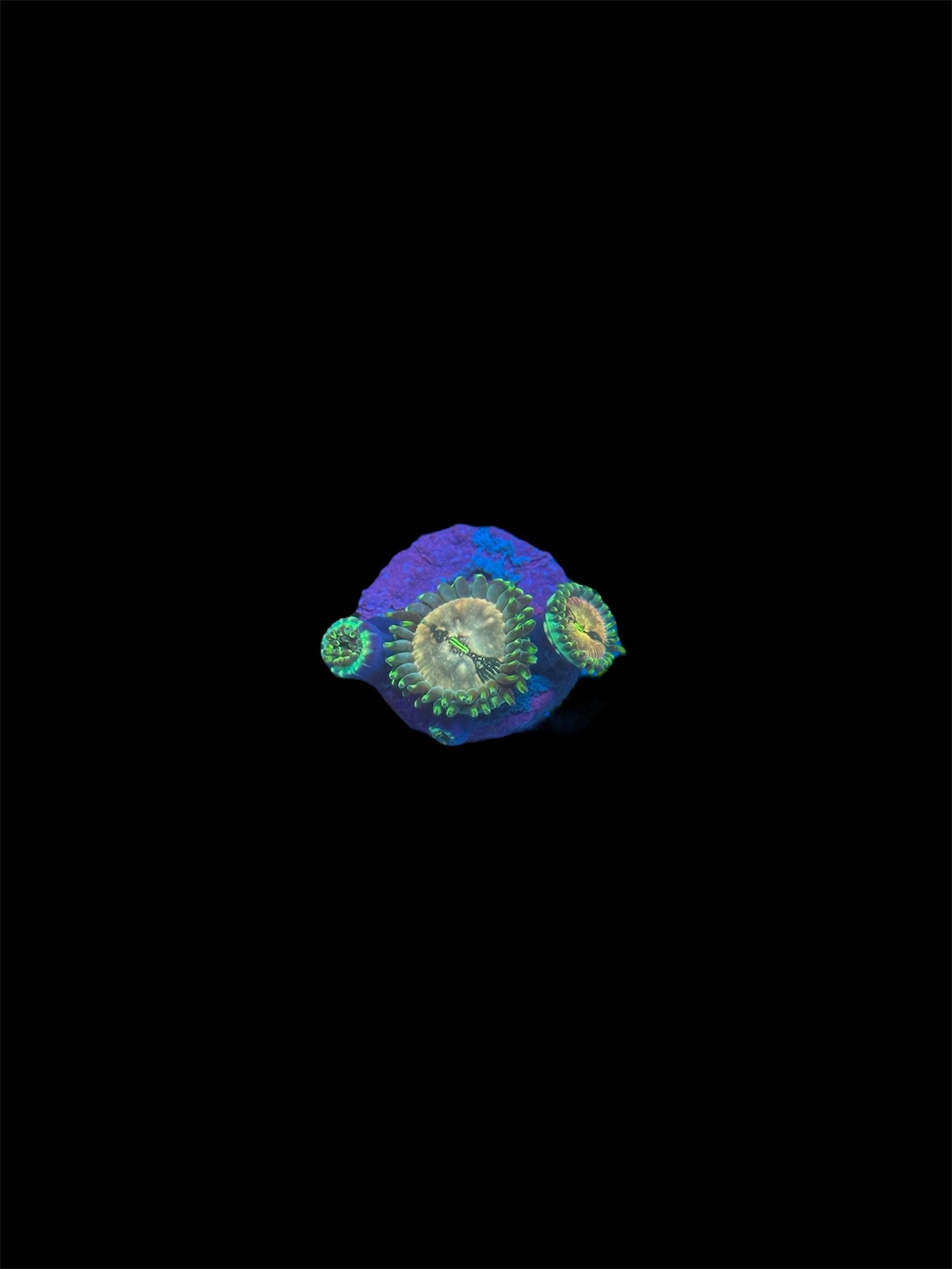 37E71671-2EA1-4346-B45A-00D66C370DEF.jpeg