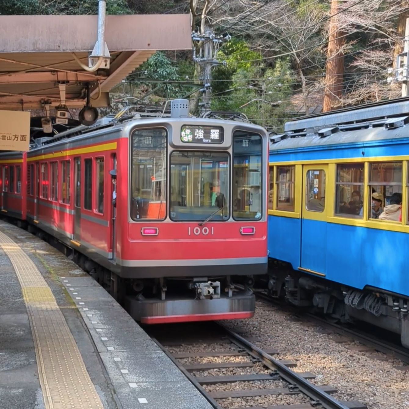 Curated Footage and Visual Context