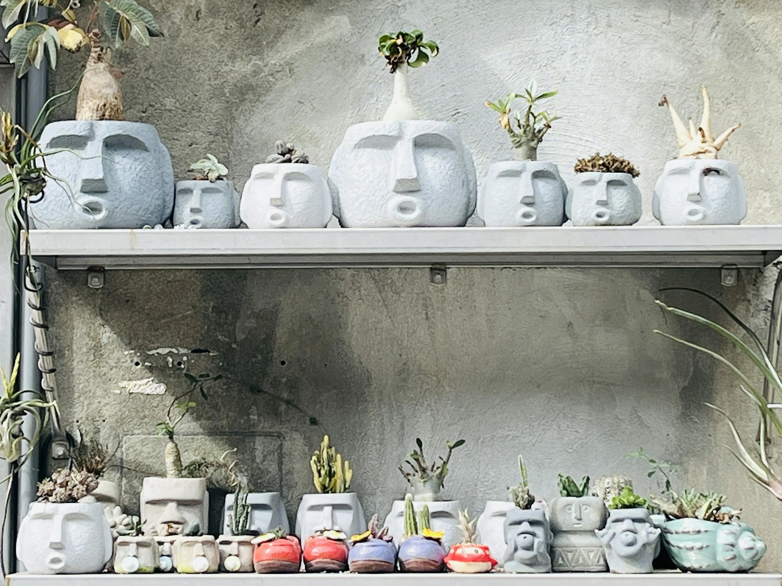 What Is Complex PTSD (CPTSD) — and How Can You Heal?