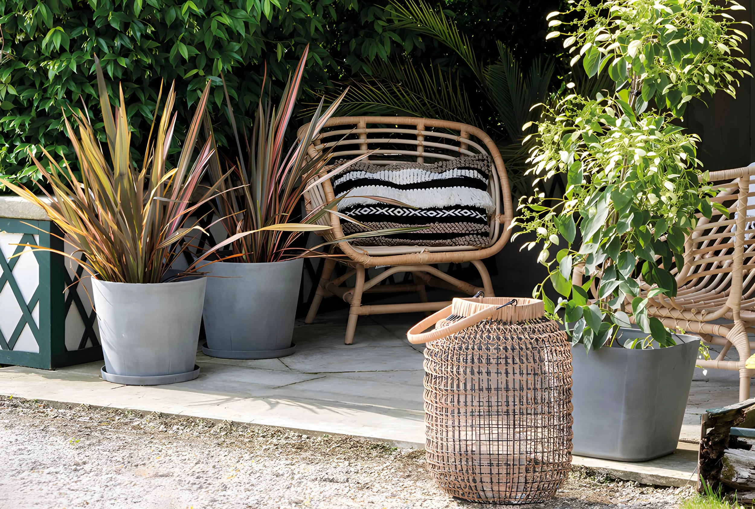 Outdoor patio area with various potted plants, woven chairs, and a black and white striped pillow.