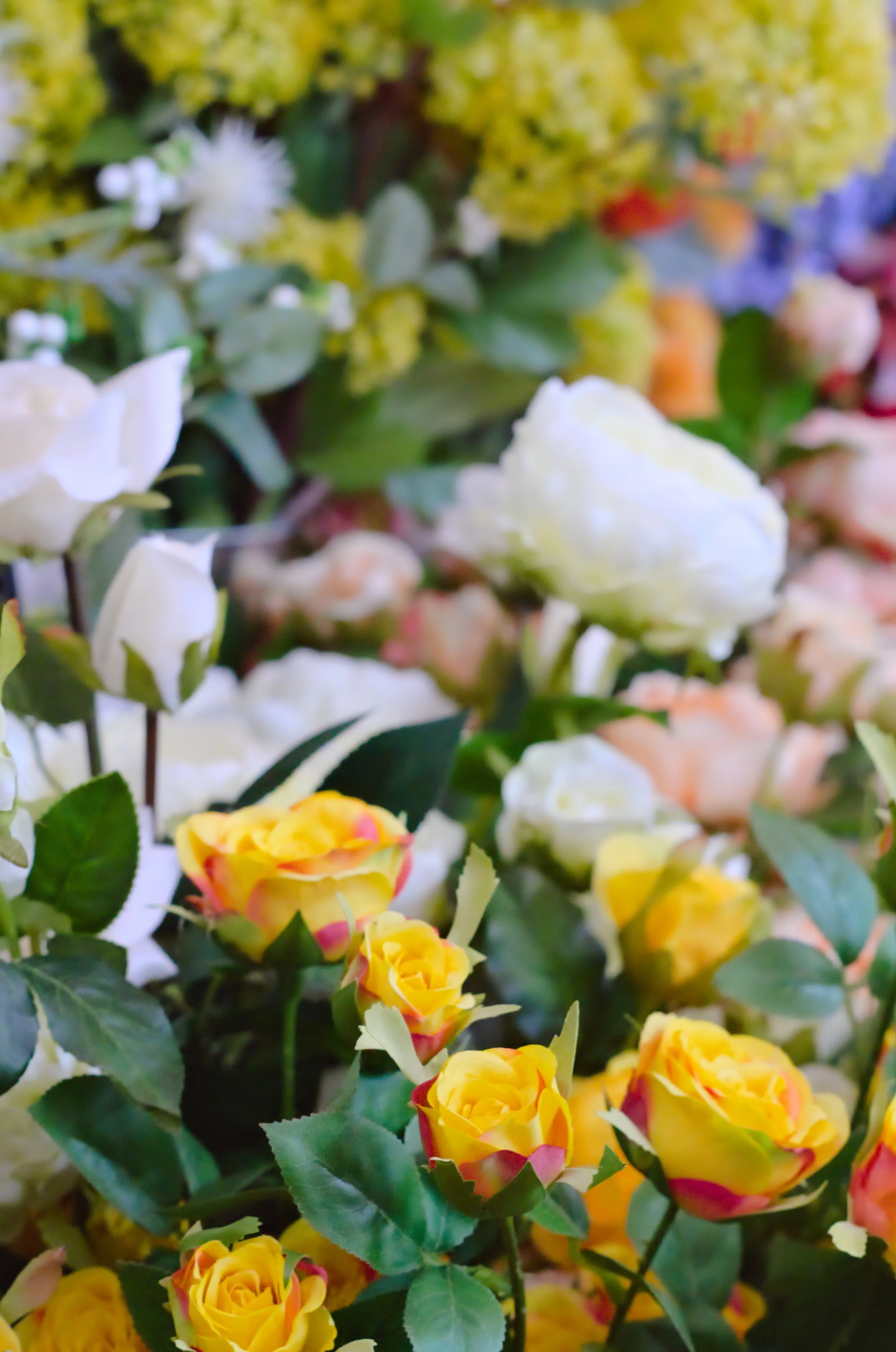 Various colorful flowers including yellow roses and white blossoms with green leaves