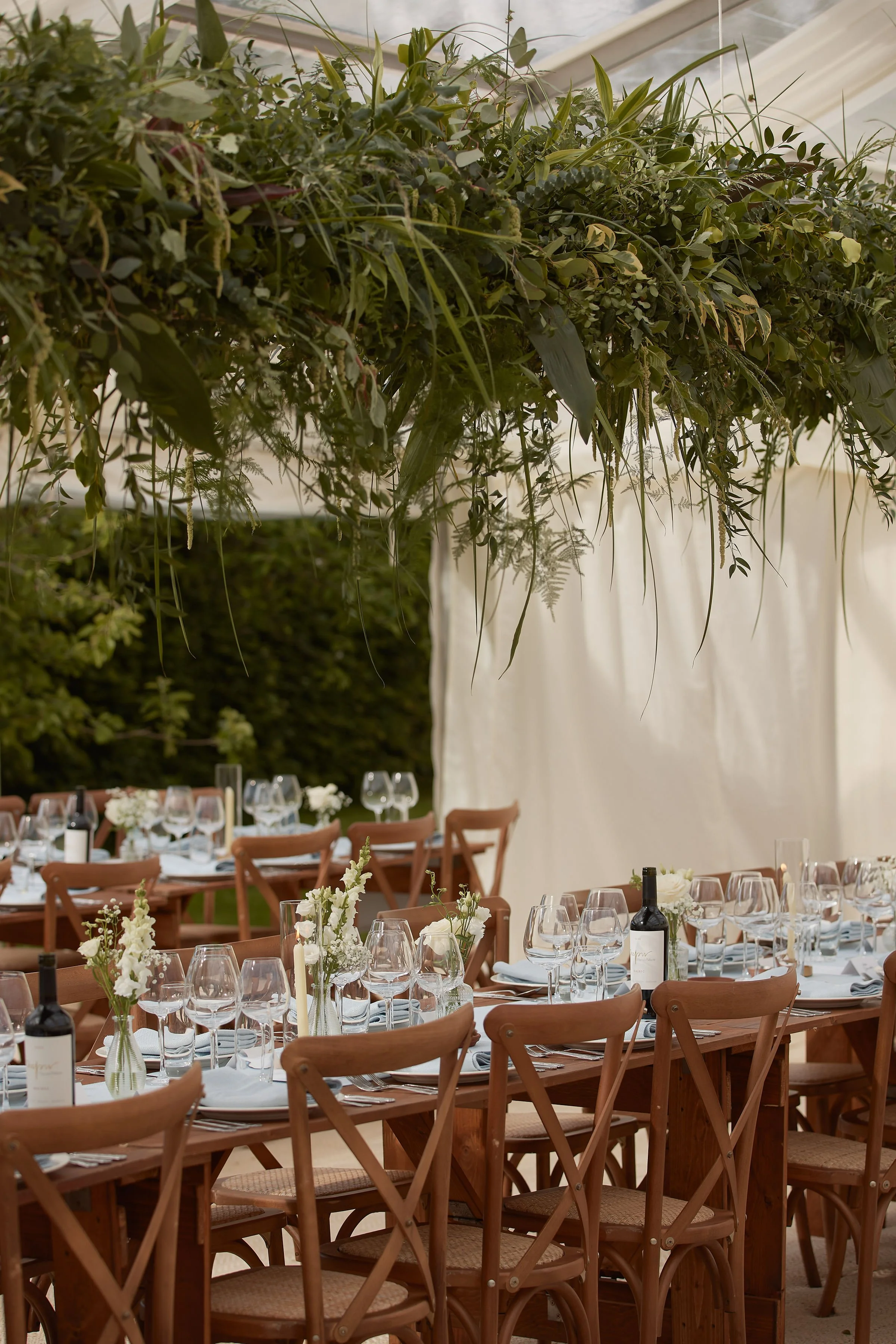 Maryam and Charlie 30.jpg