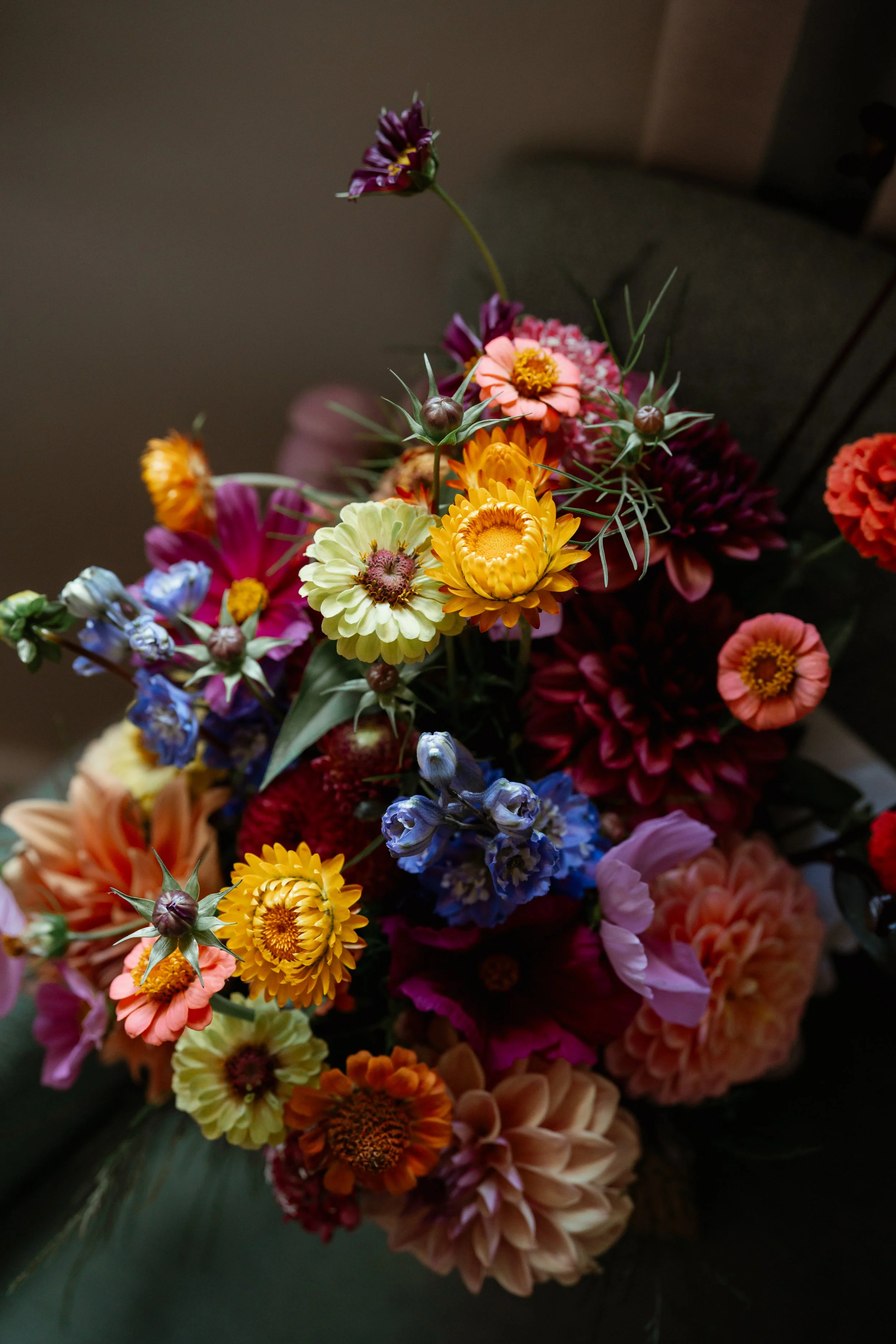 Charlotte and Ollie 14.8.25 7.jpg