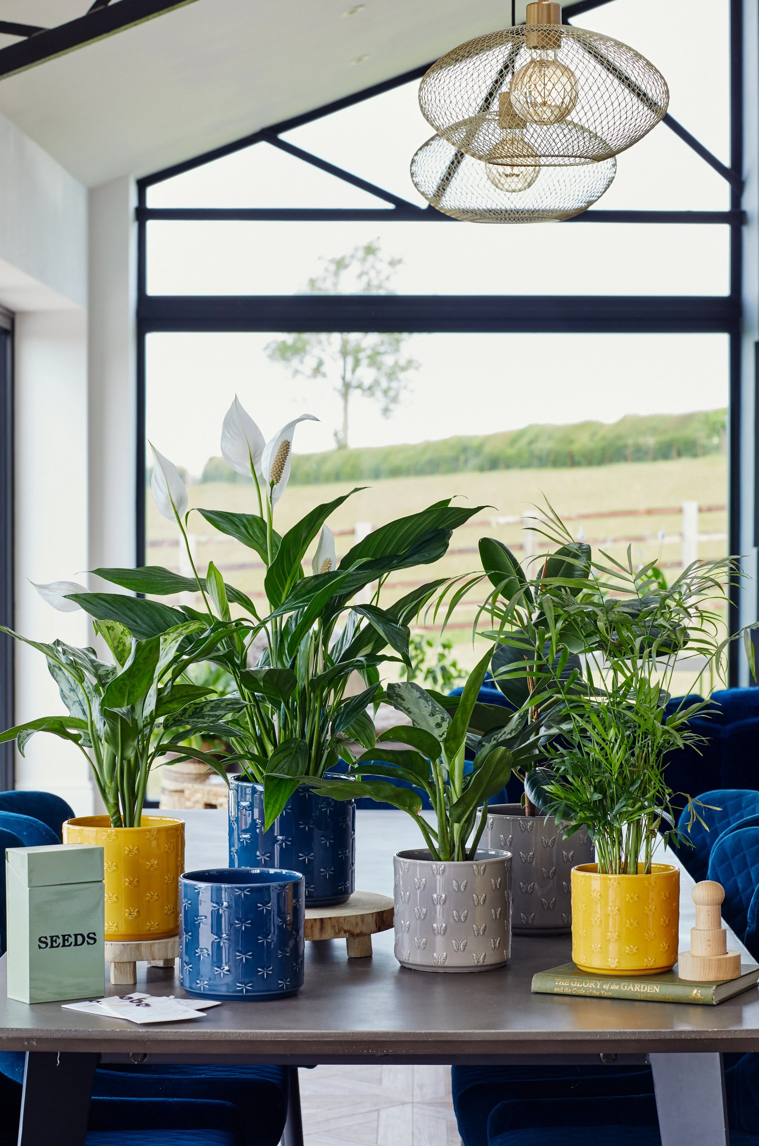 Indoor dining area with potted plants on the table, large windows showing outdoor greenery, and a decorative ceiling light fixture.