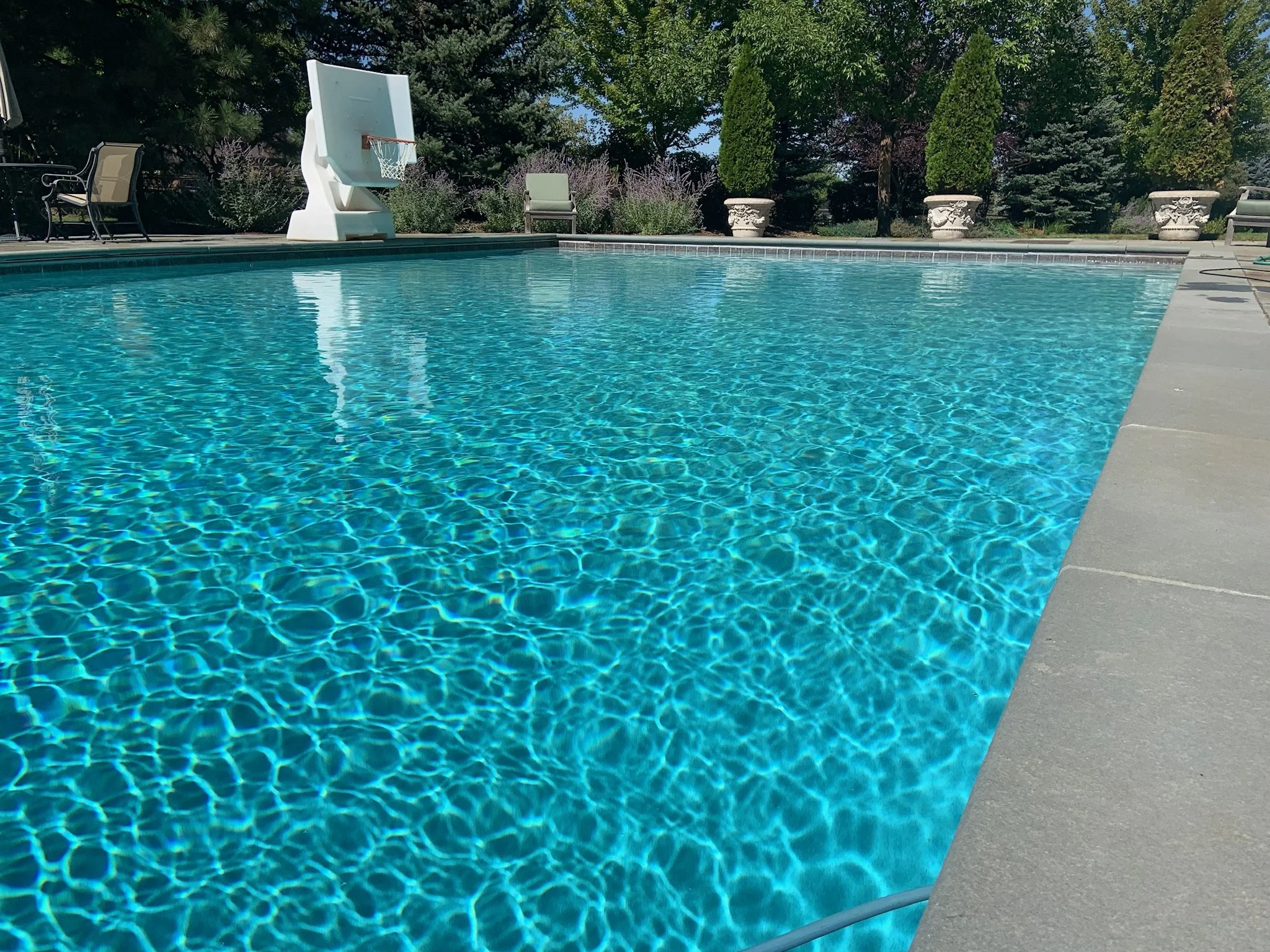 sparkling water of a weekly customer.JPG