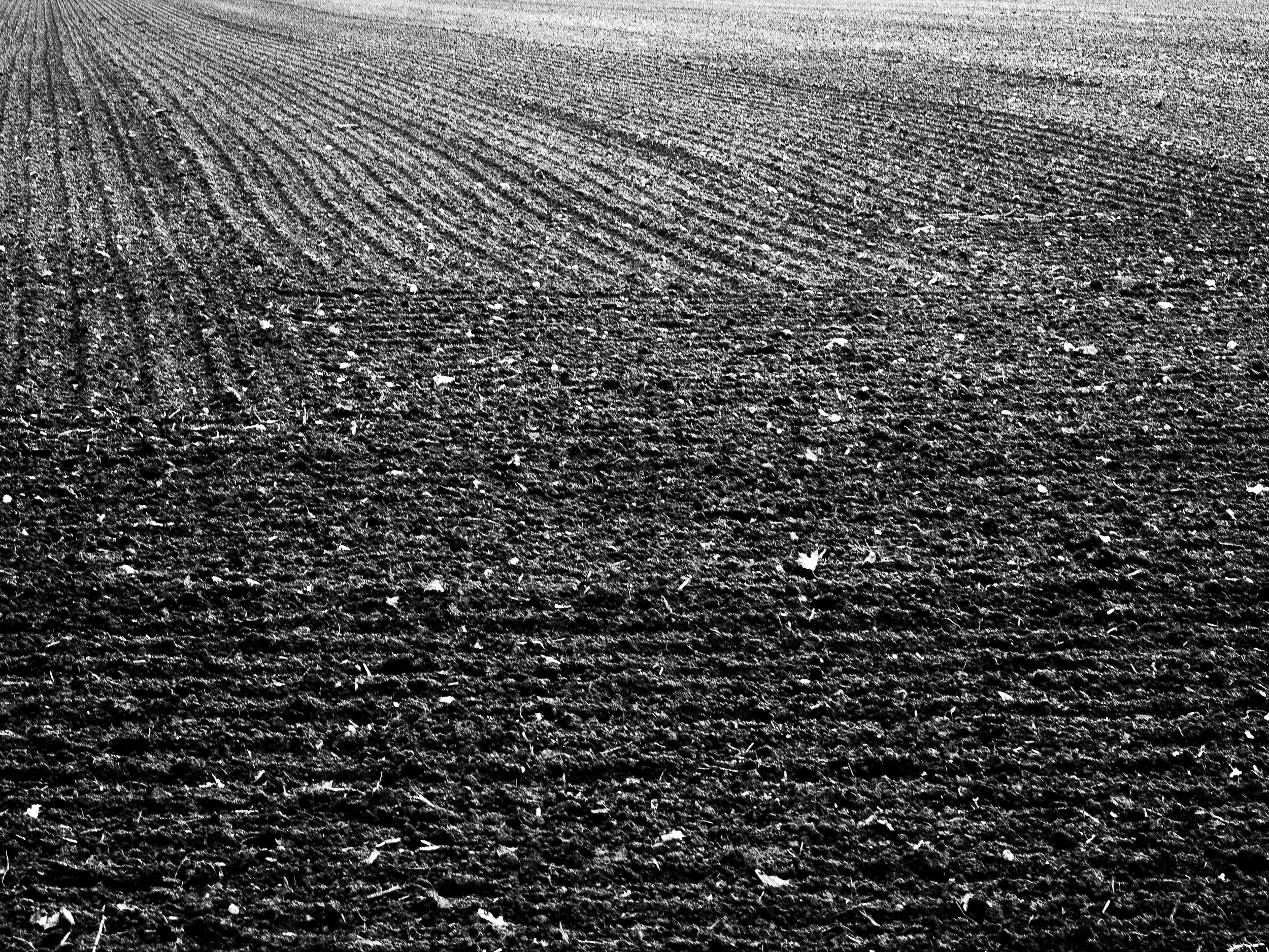 N_Feldstrukturen 2025