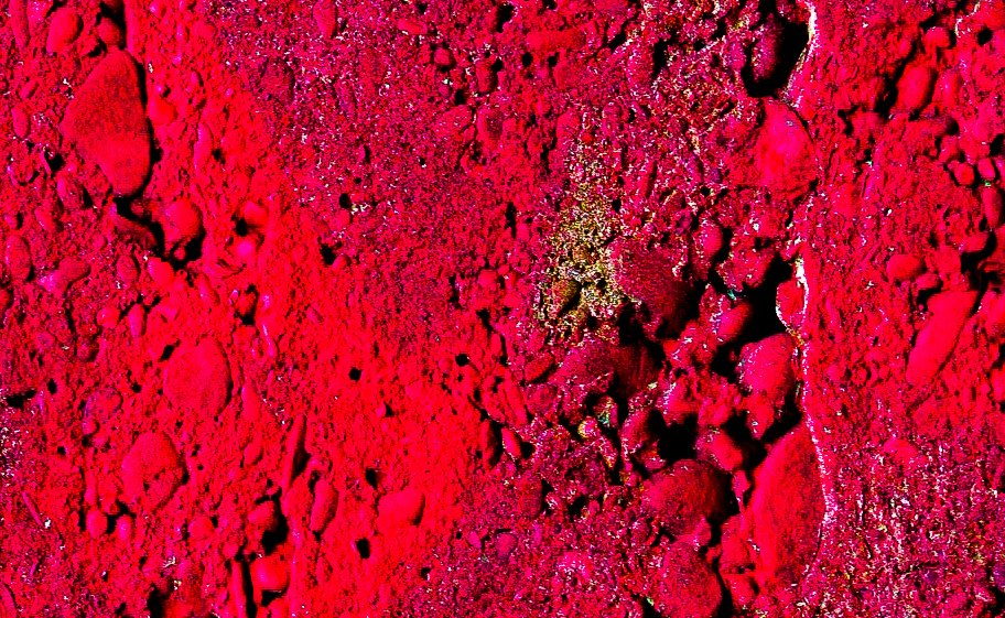 F_Rot 1_2009-2024