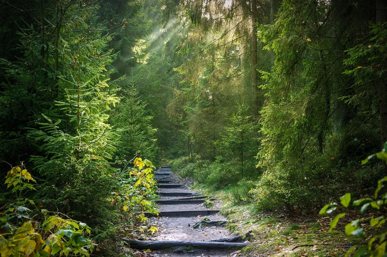 We Long for Connection. So Why Does It Sometimes Feel So Hard?