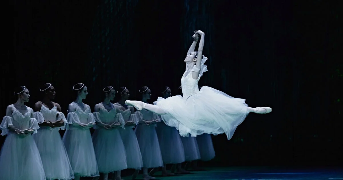 Danse Danse- Acces card Montreal.jpg