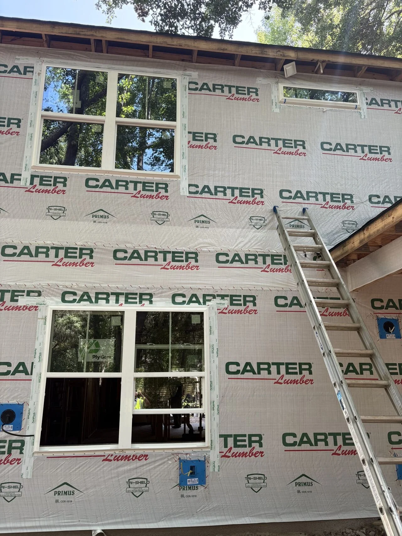 carter house wrap.jpg