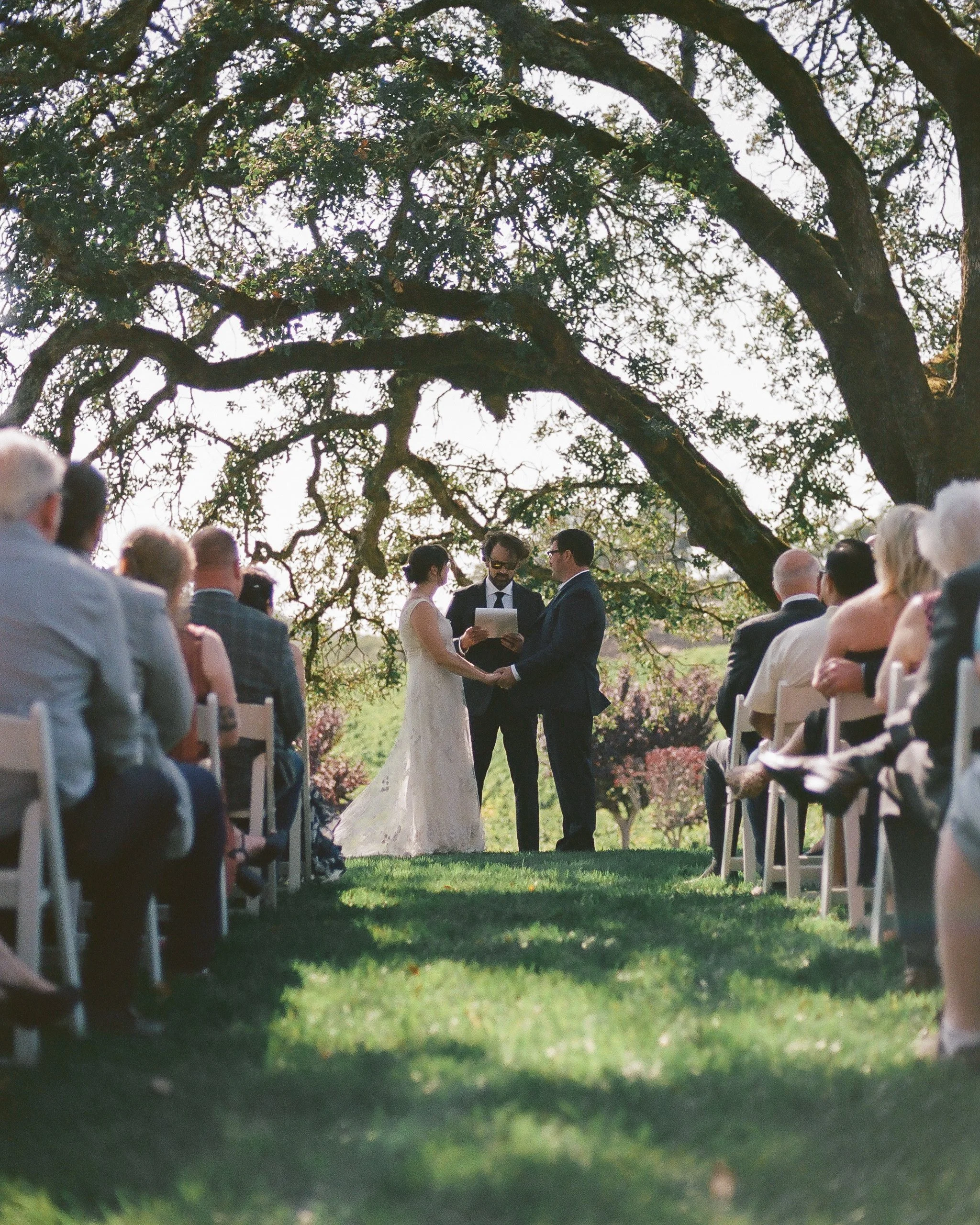 A wedding ceremony taking place outdoors under a large tree, with the bride, groom, and officiant standing facing each other, holding hands, while guests seated on both sides watch.