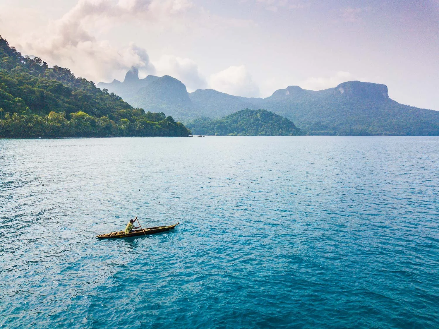 Copy of 4-LANDSCAPE-where-the-forest-meets-the-ocean.jpg