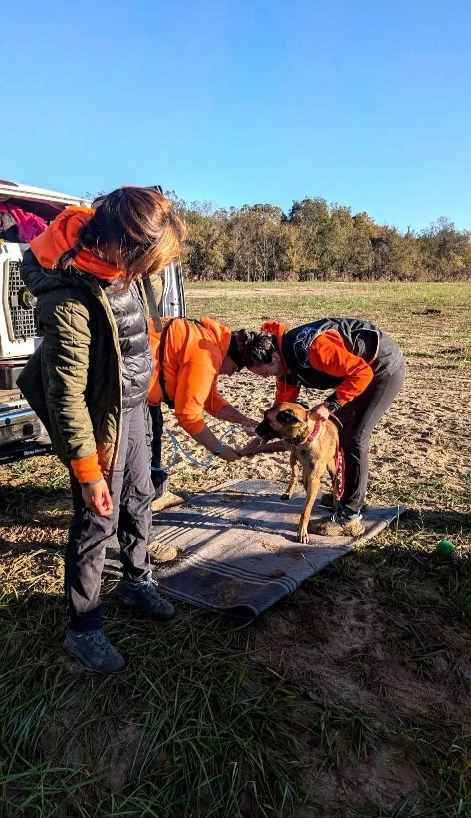 Three women in outdoor gear assisting a brown dog on a mat in an open field with trees in the background, next to a vehicle.