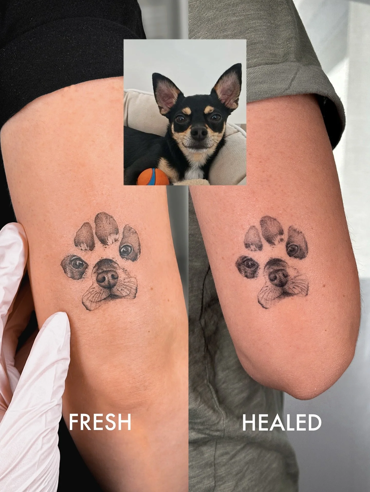 Here you can see a freshly healed work. 🐕
Such a sweet and expressive tattoo.

#tattoo #finelinetattoo #smalrealism #realistictattoo #floral #floraltattoos #flowertattoo #ink #inked #instagram #schw&auml;bischhall #stuttgart #heilbronn #crailsheim #