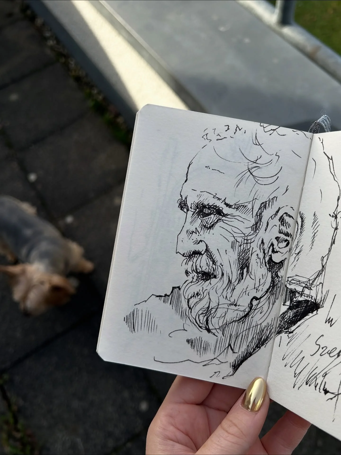 I got myself a new toy, a fountain pen. I remember using one back in school, but I never saw it as a tool for drawing, only for writing or calligraphy. After trying it out, I&rsquo;m honestly obsessed. It feels completely different from a fineliner, 