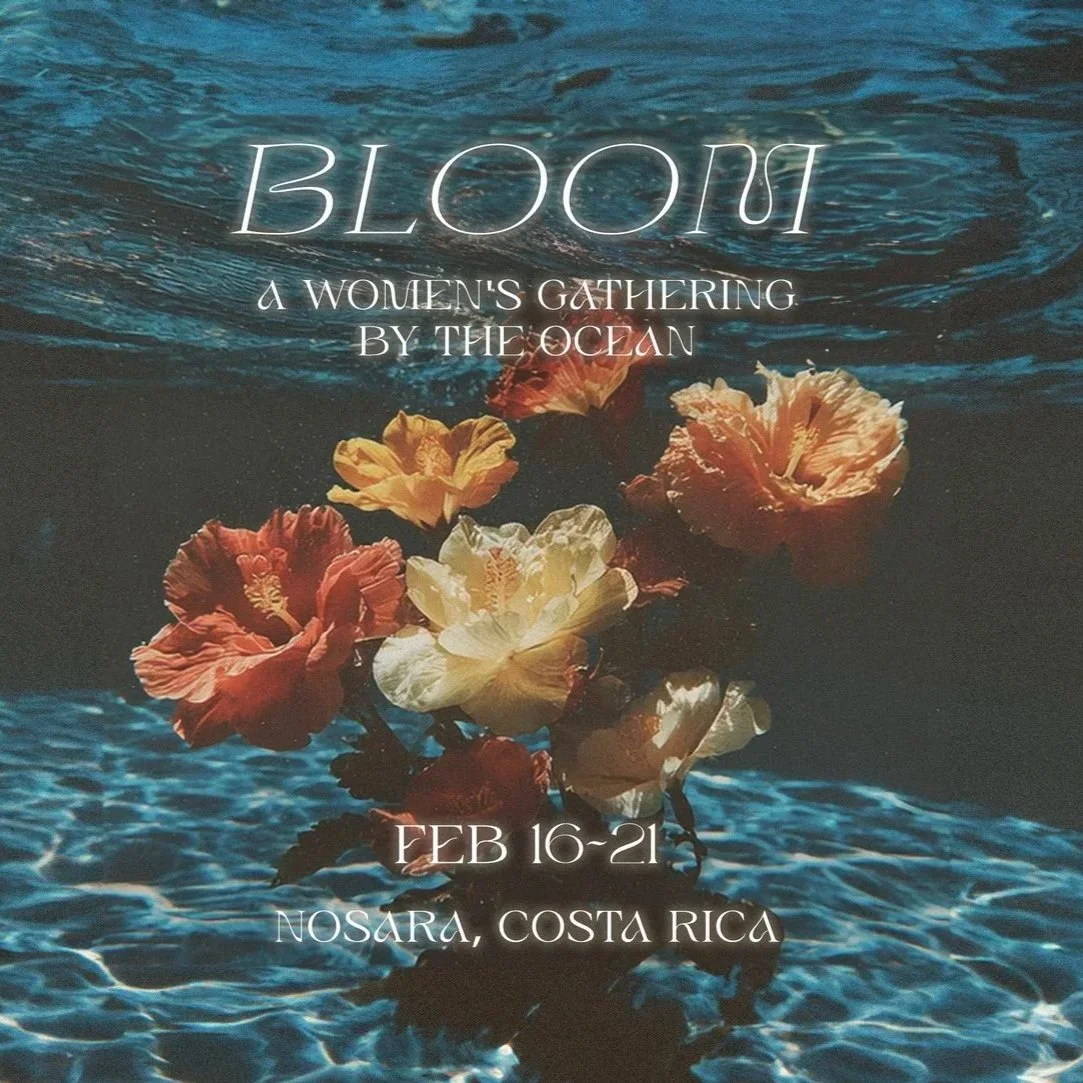 bloom