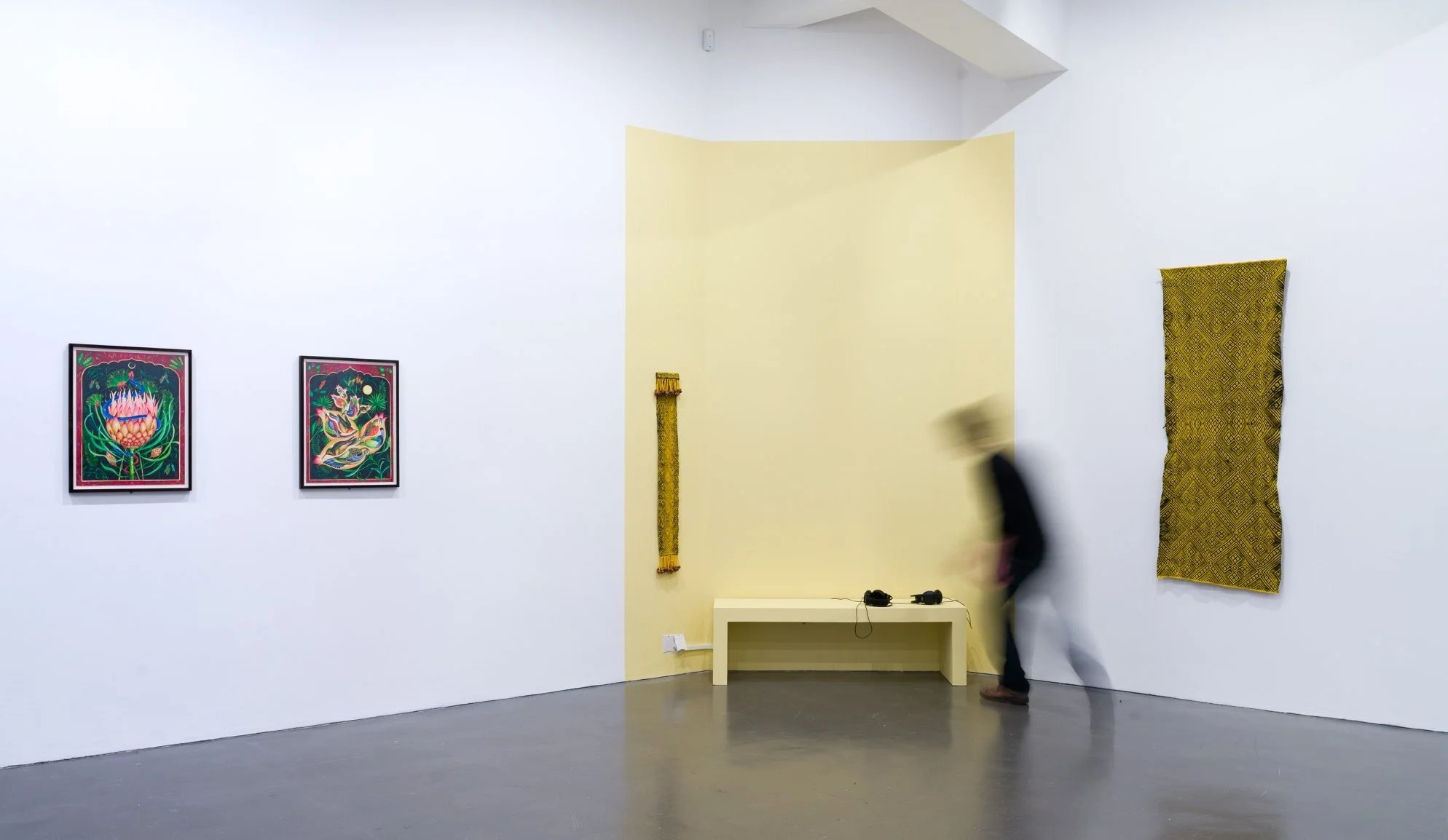Delfina's paintings & sound installation at GAA: Holistic Science and Wisdom Traditions, The Exchange.